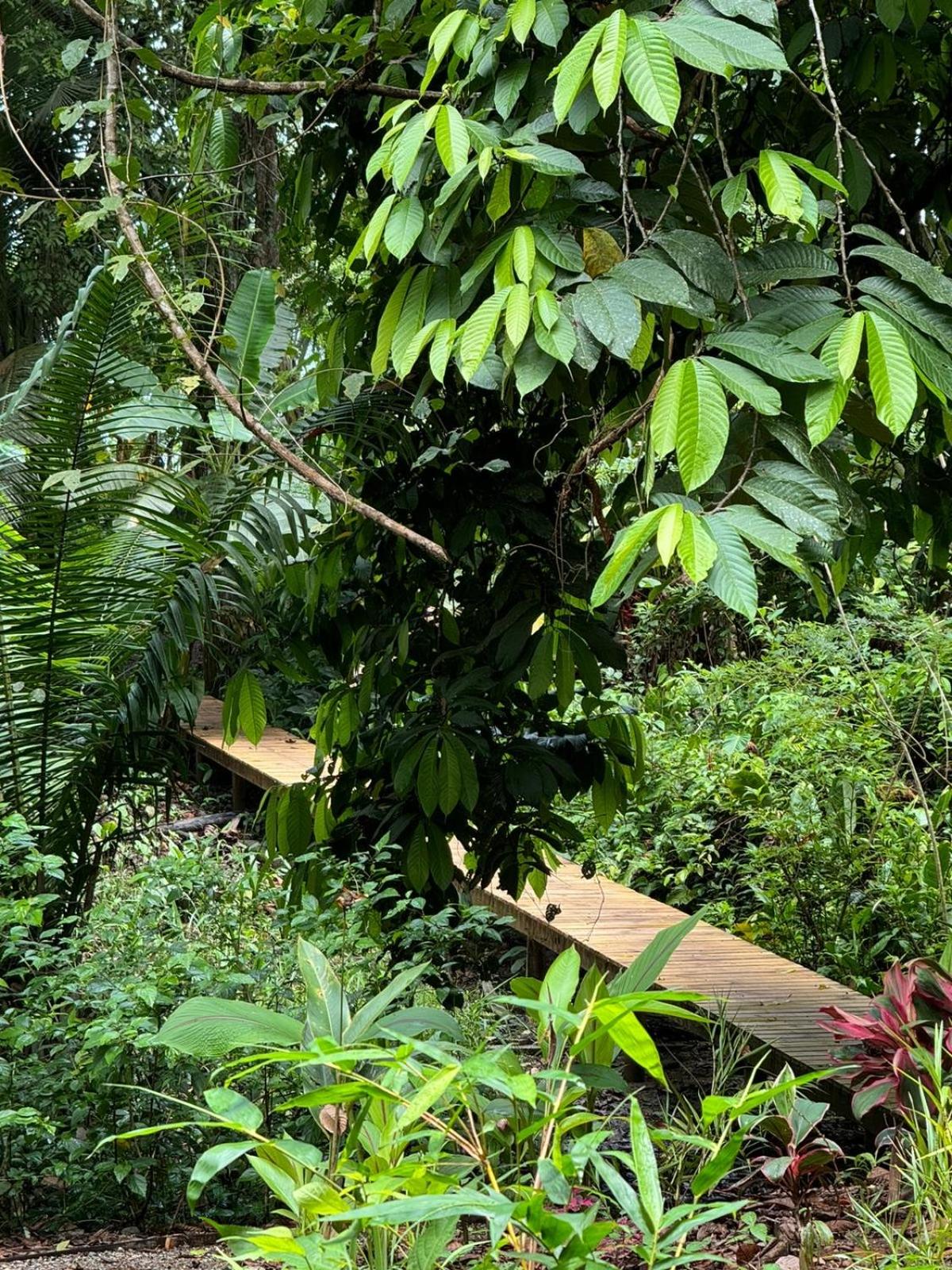 Madre Selva Eco Lodge