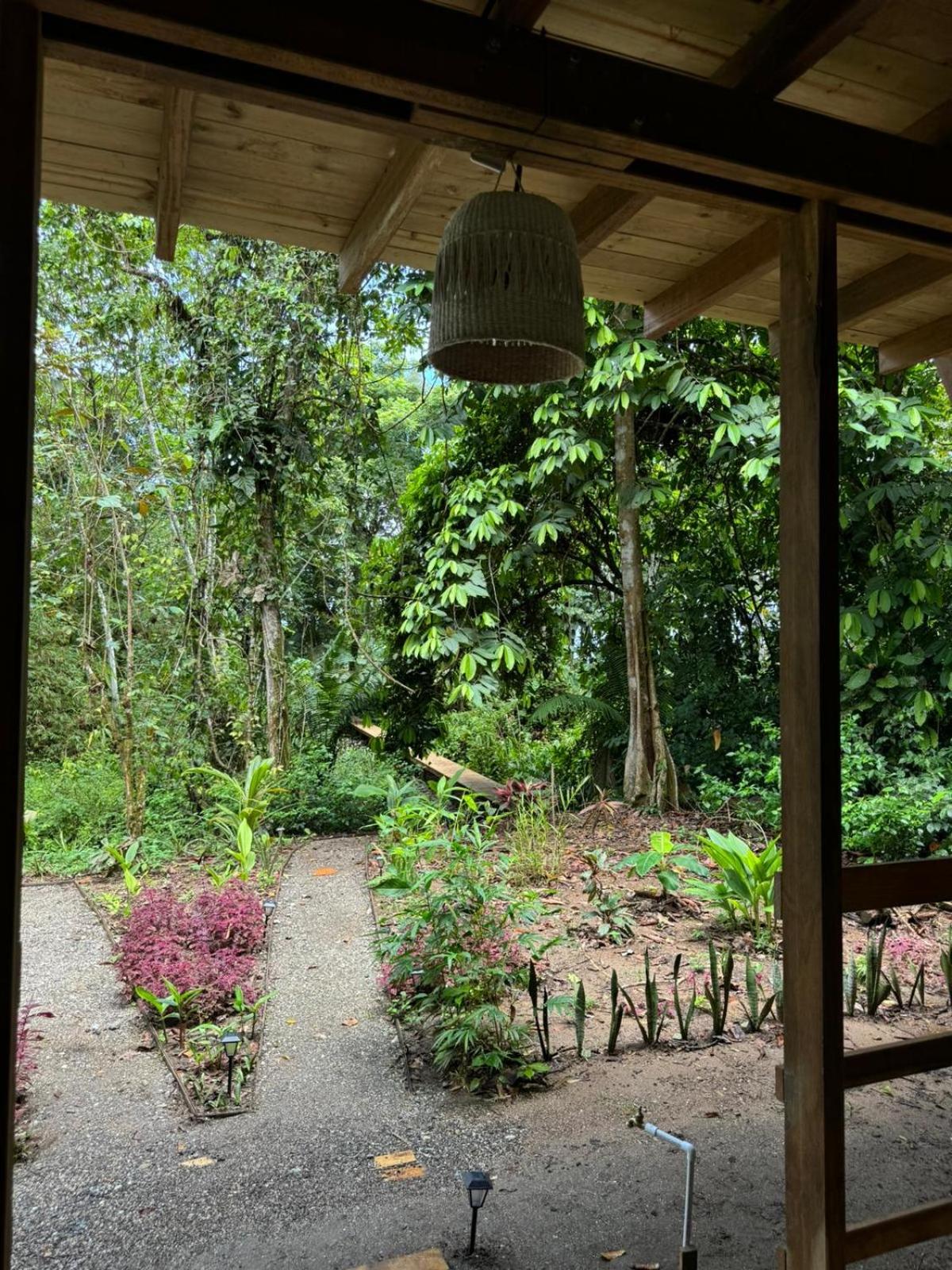 Madre Selva Eco Lodge