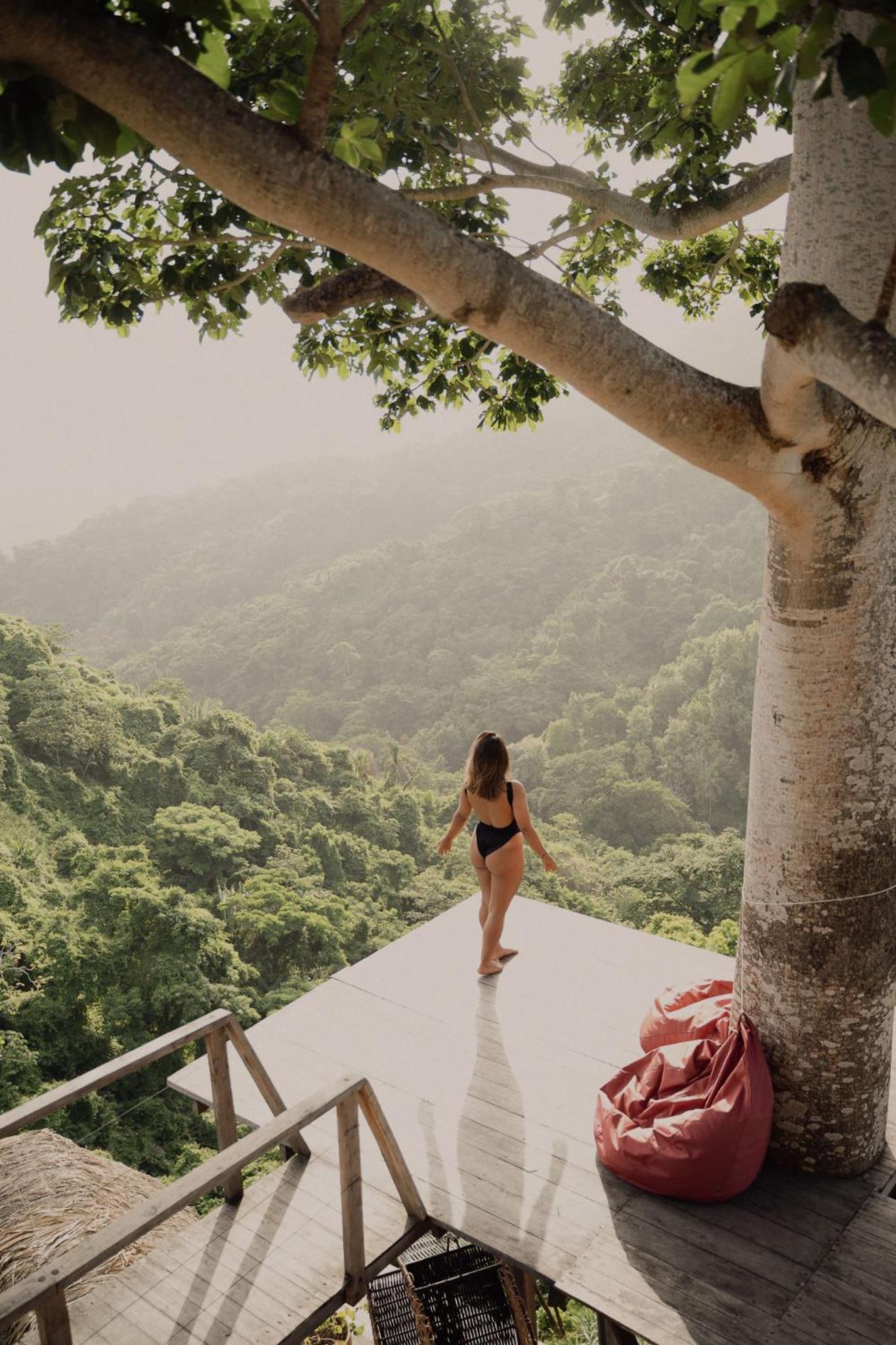Paraiso Ahimsa