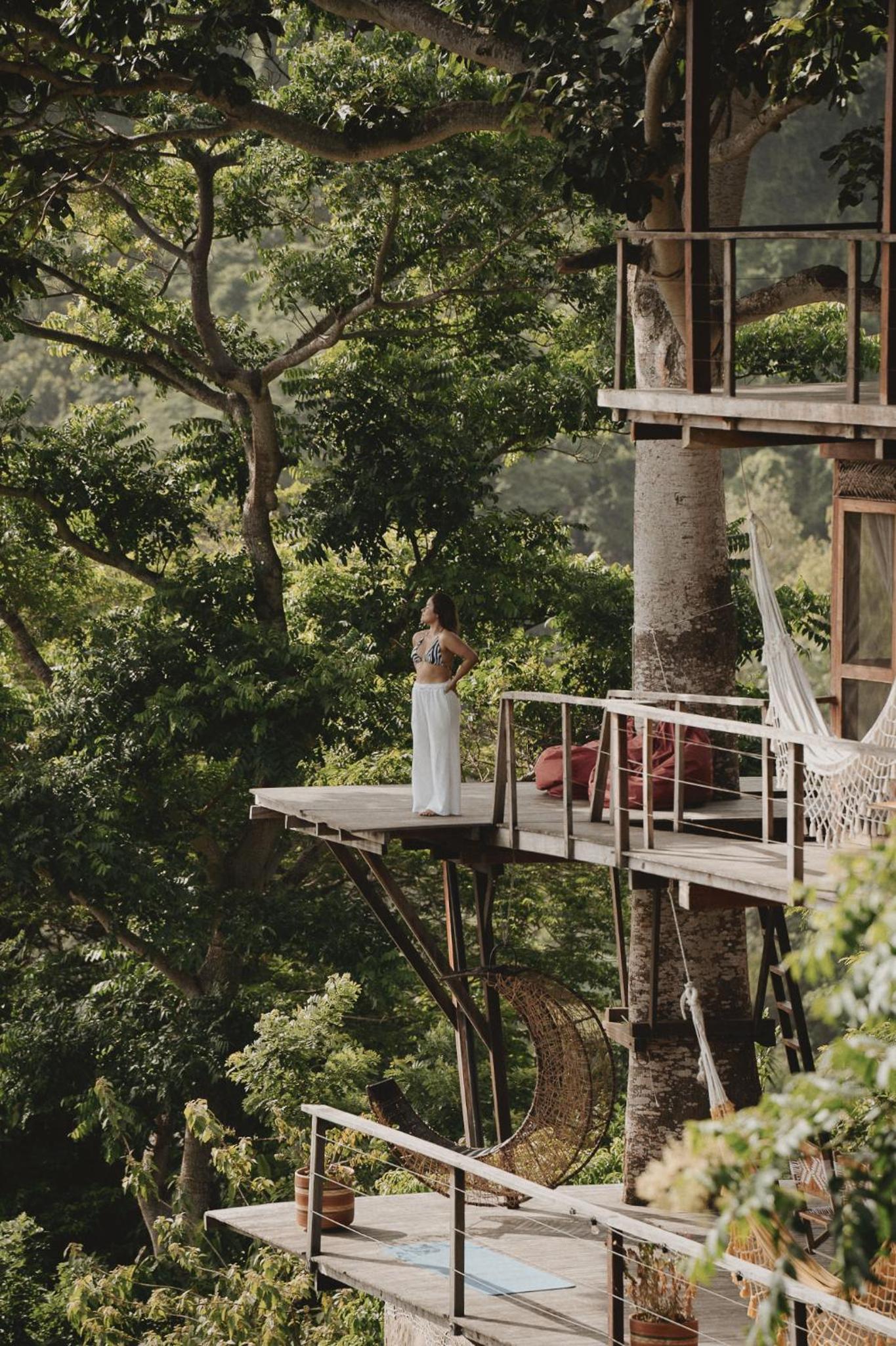 Paraiso Ahimsa