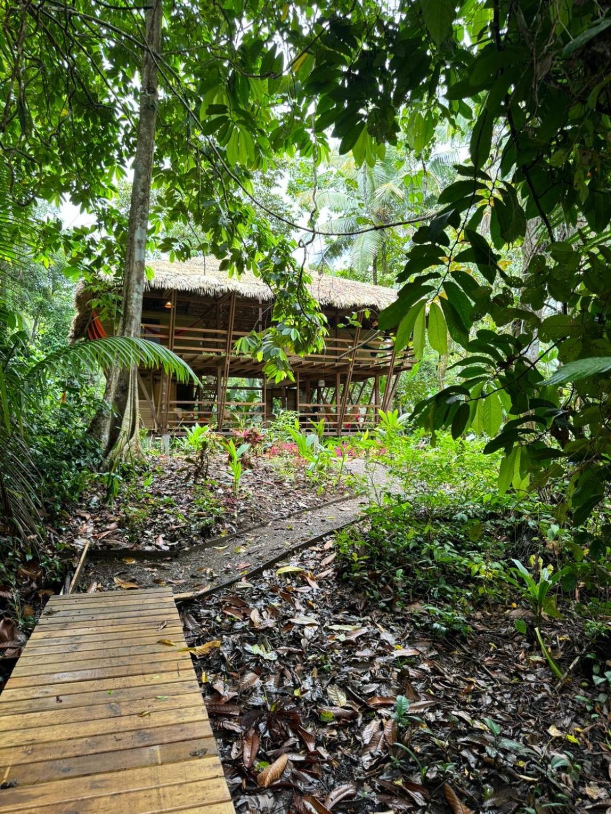 Madre Selva Eco Lodge