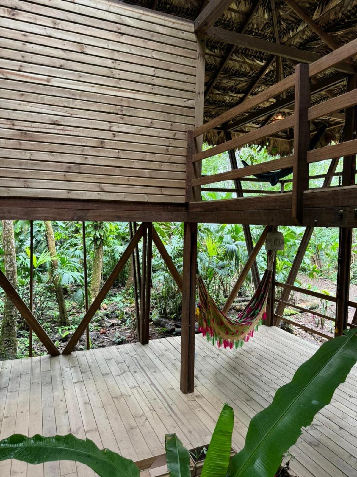 Madre Selva Eco Lodge