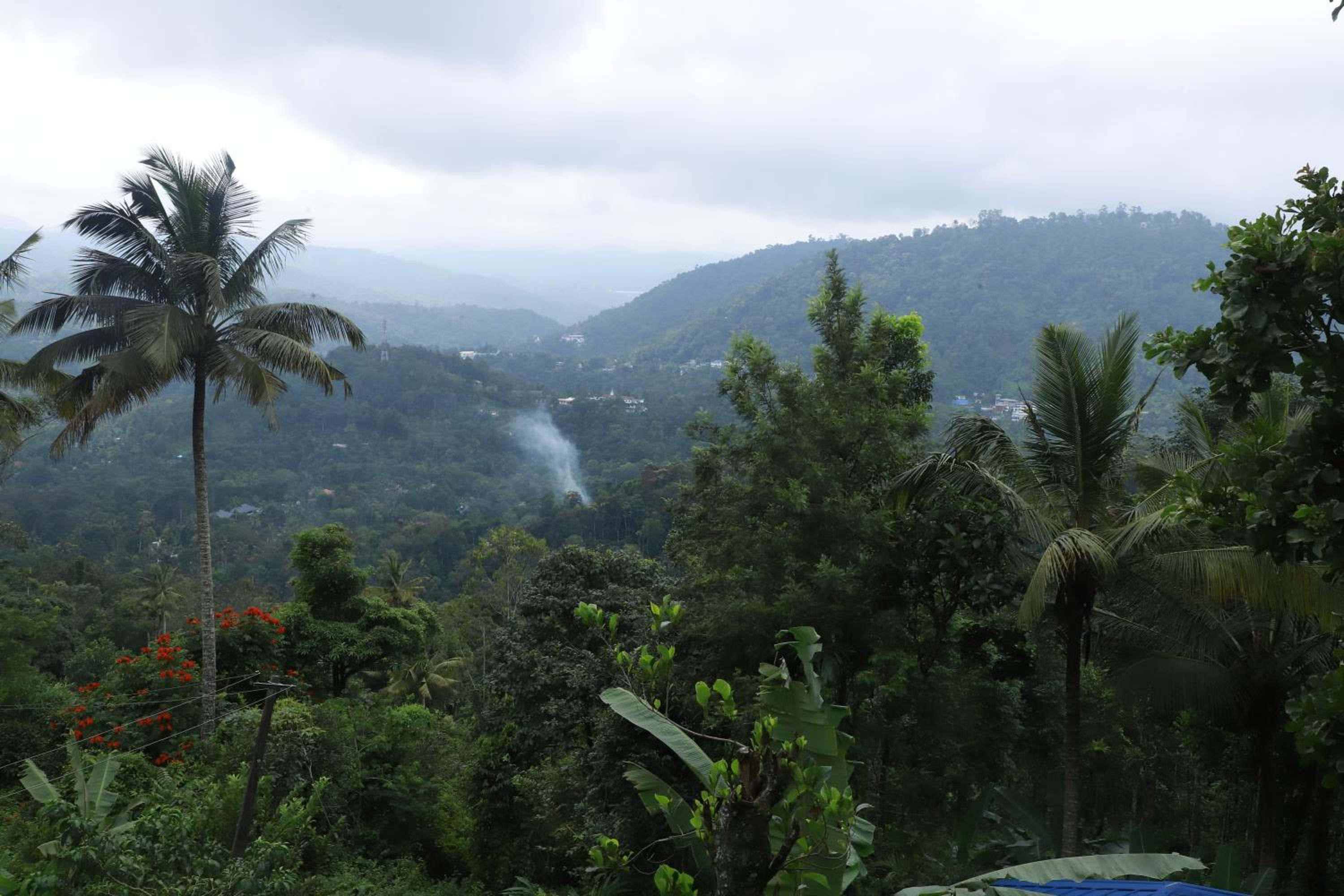 Nature villa view 5