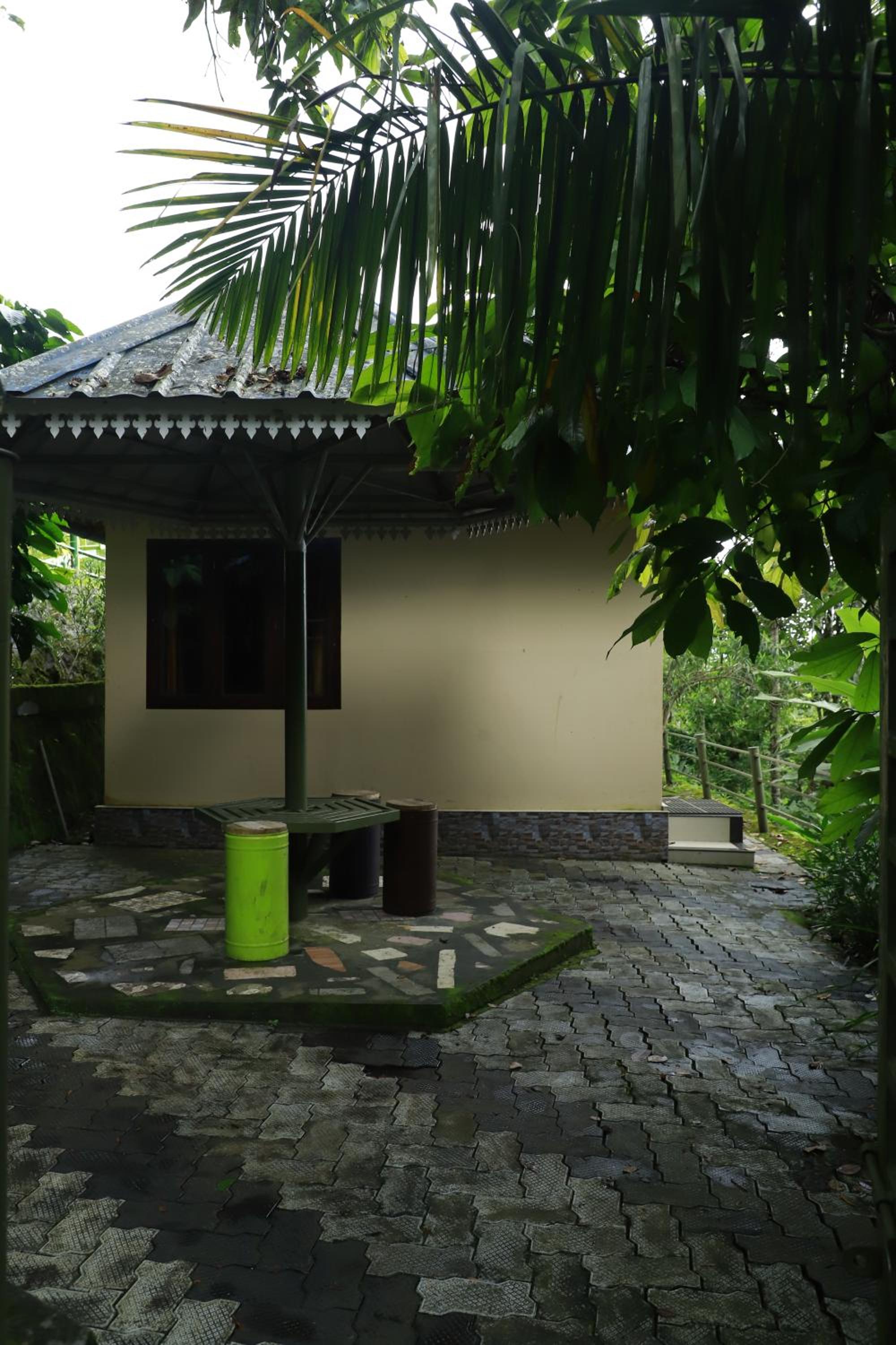 Photo 16