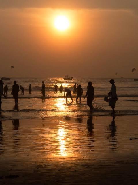 Calangute Beach Palms