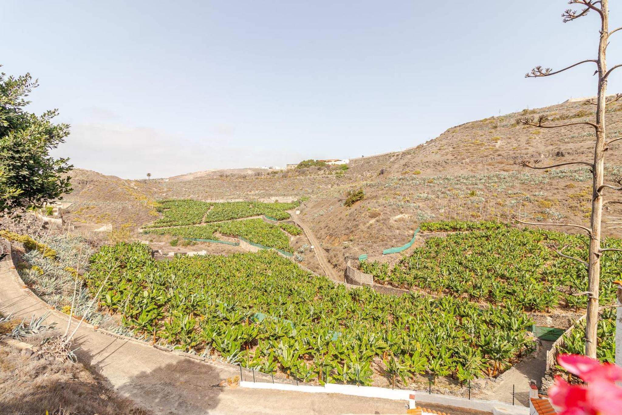 Villa VideVi