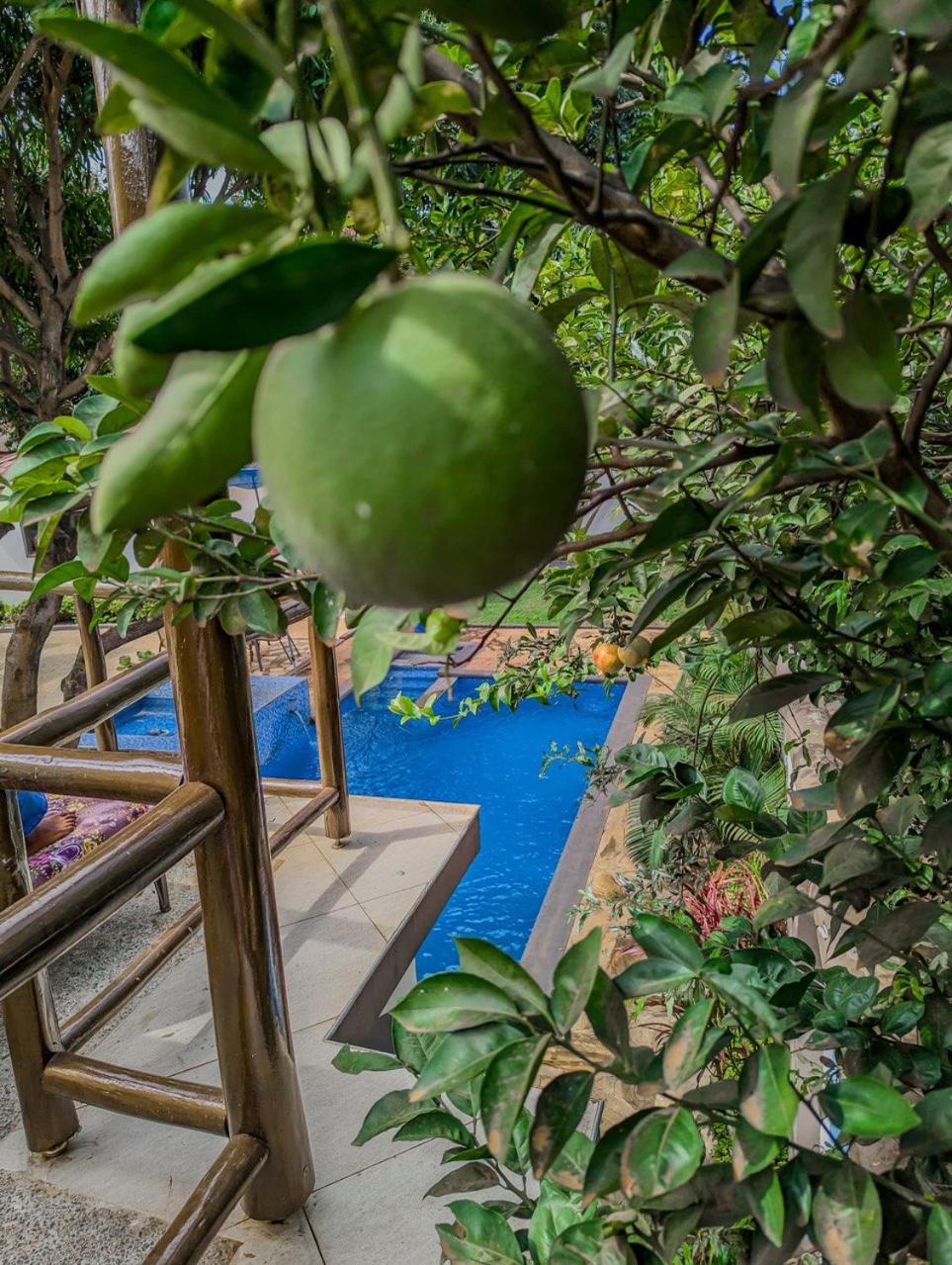 SafariVITA Villa