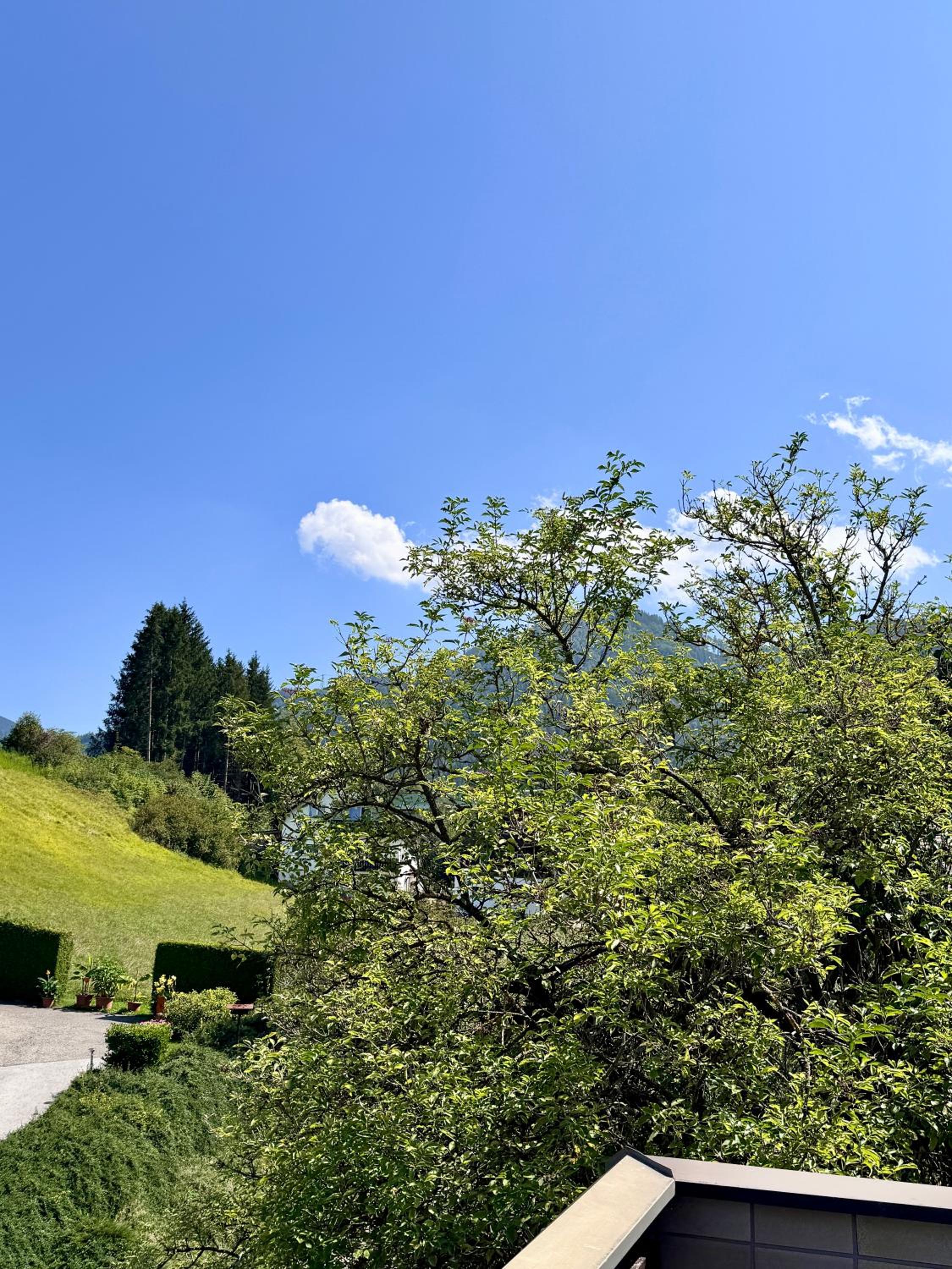 Haus Gruber - Valentina & Gabriel in der Waldheimat