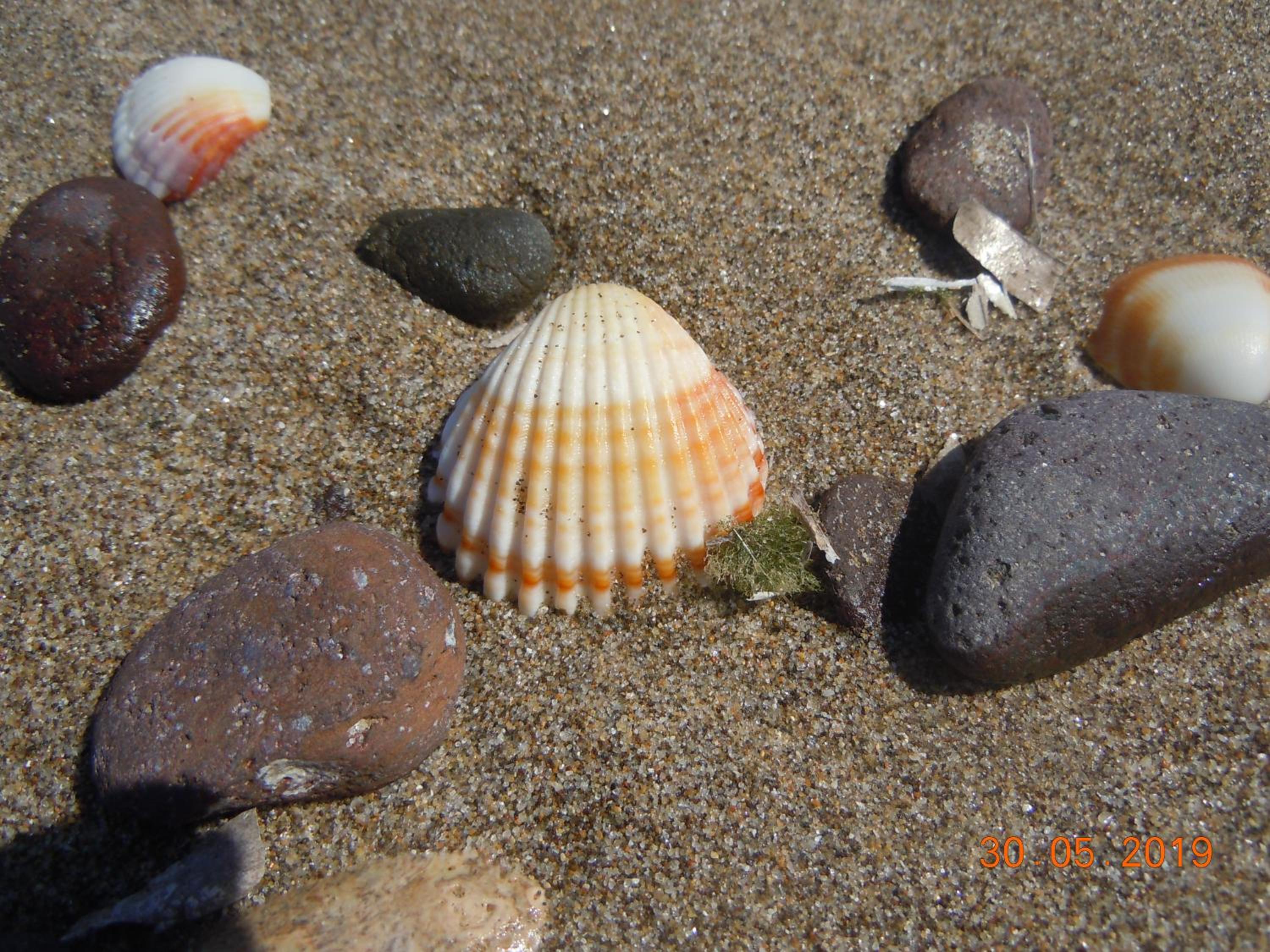 Photo 26