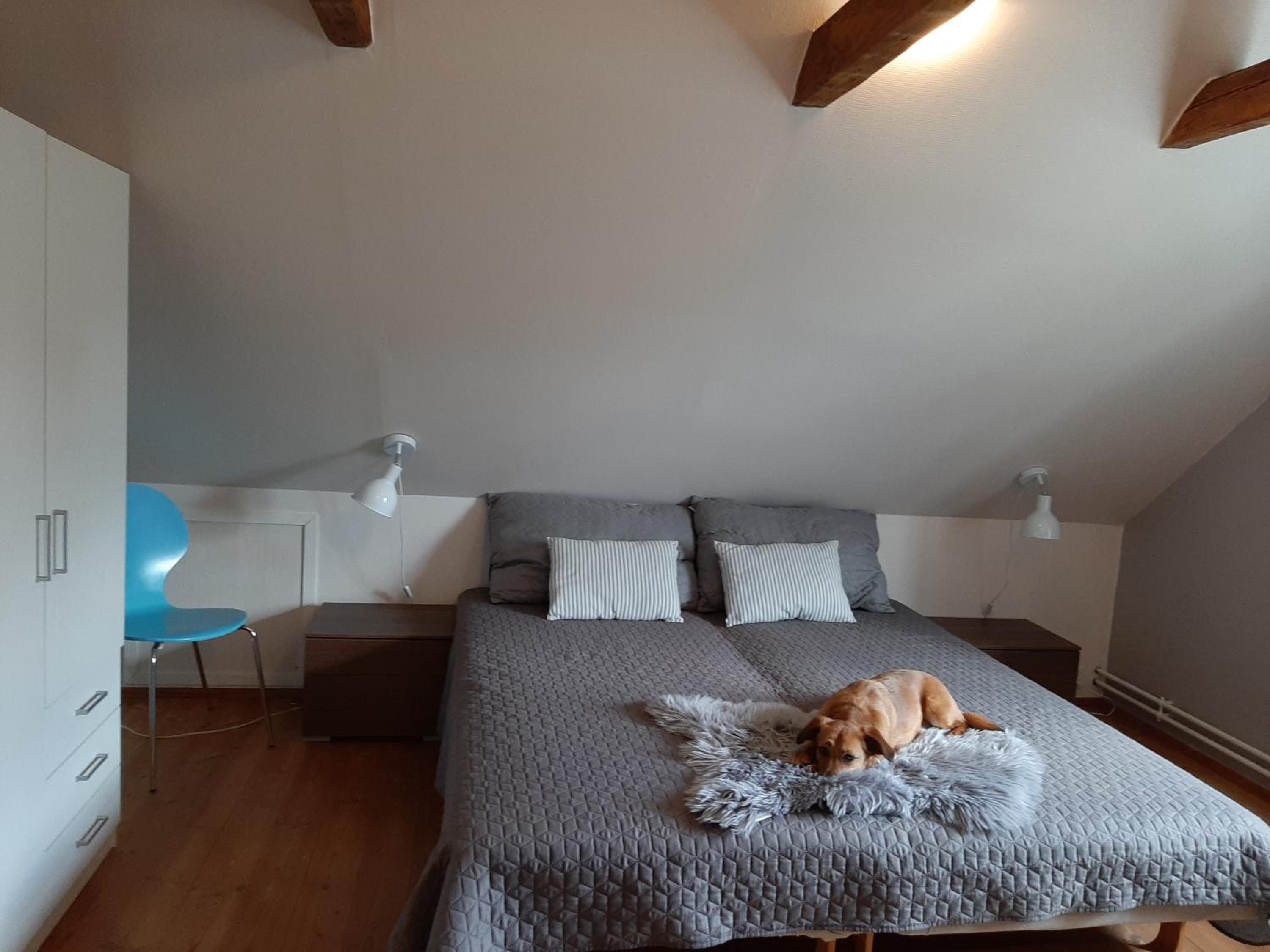 Stor villa i Lendemarke