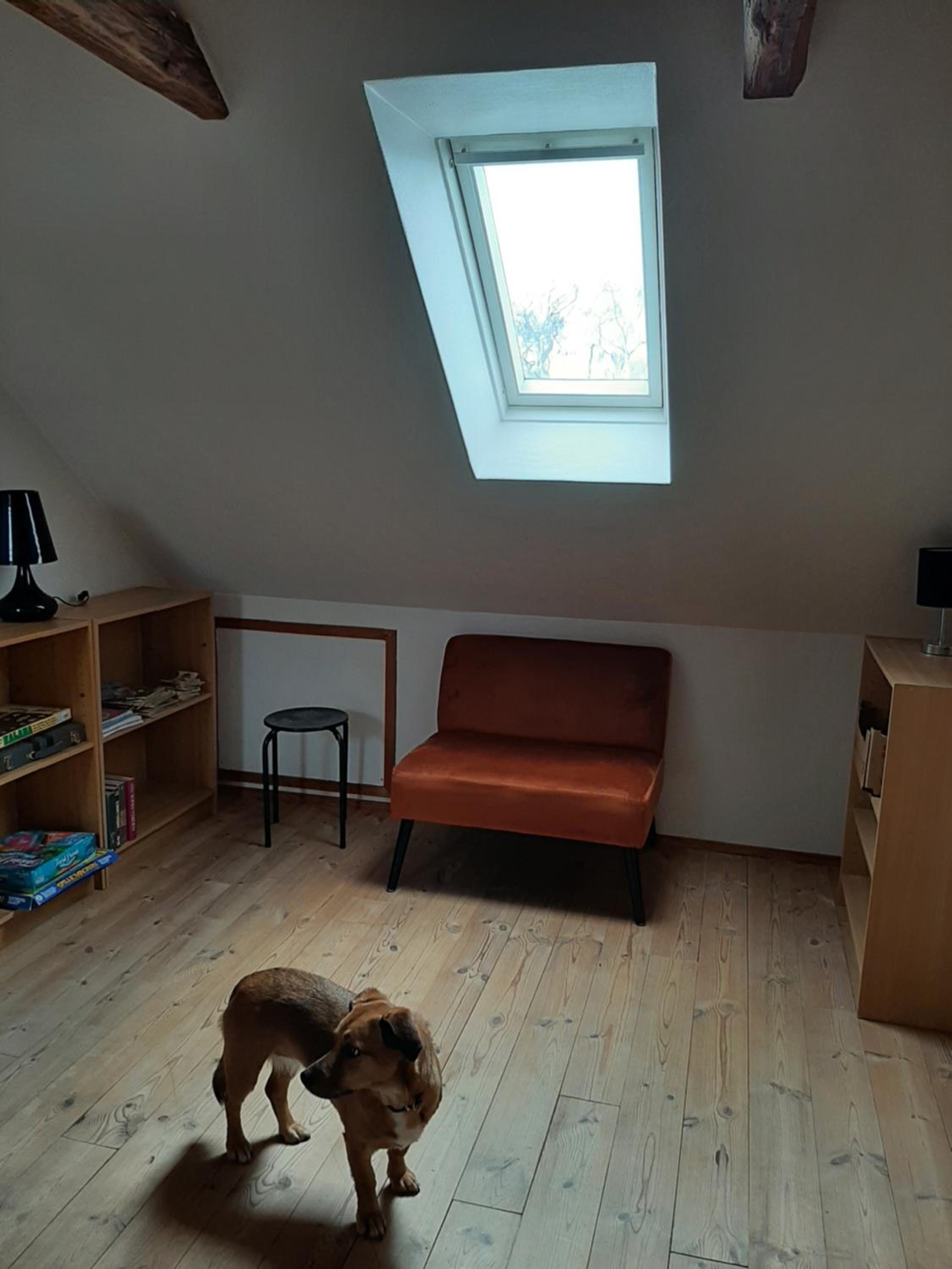 Stor villa i Lendemarke