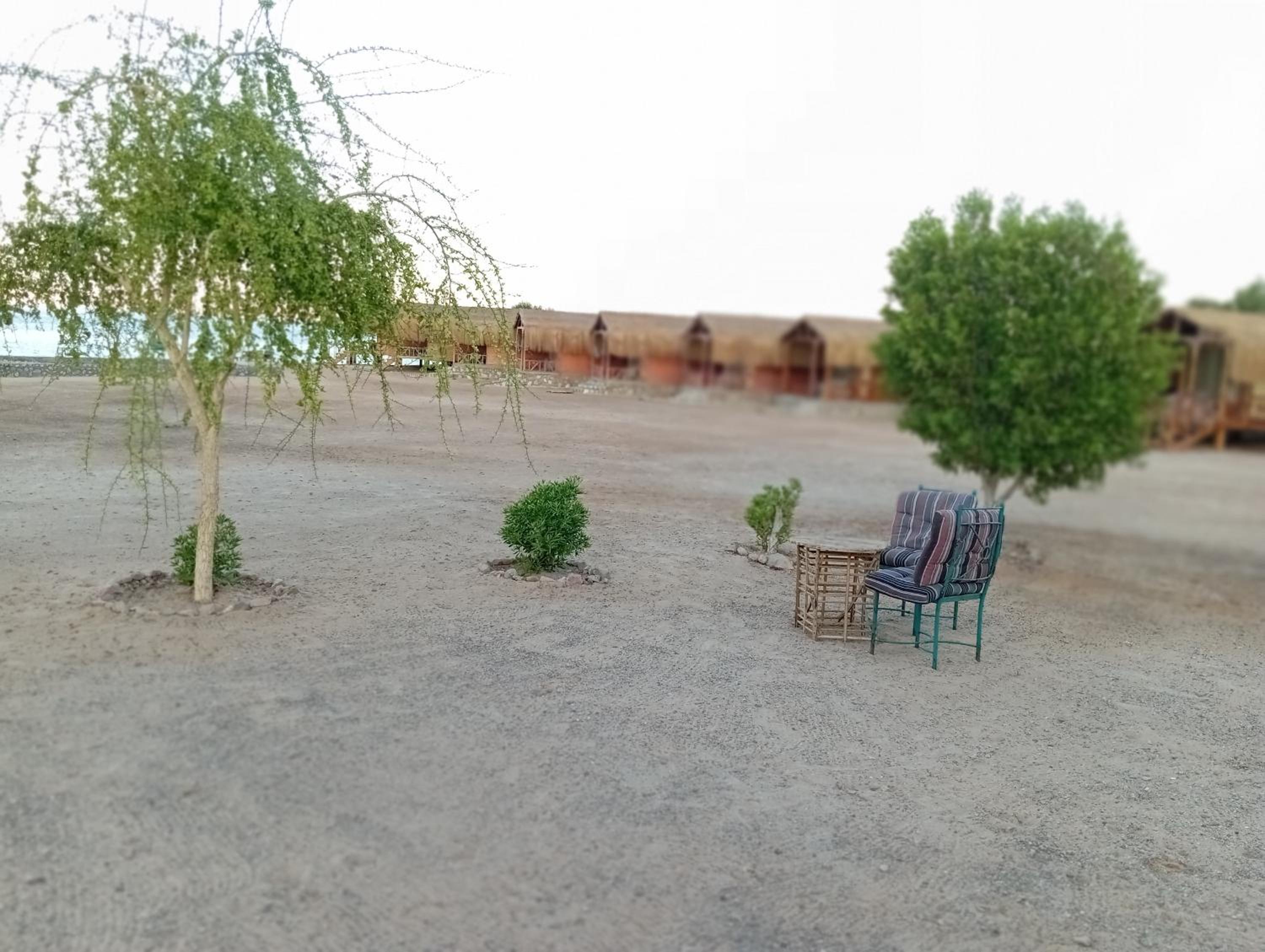 Sayal camp new