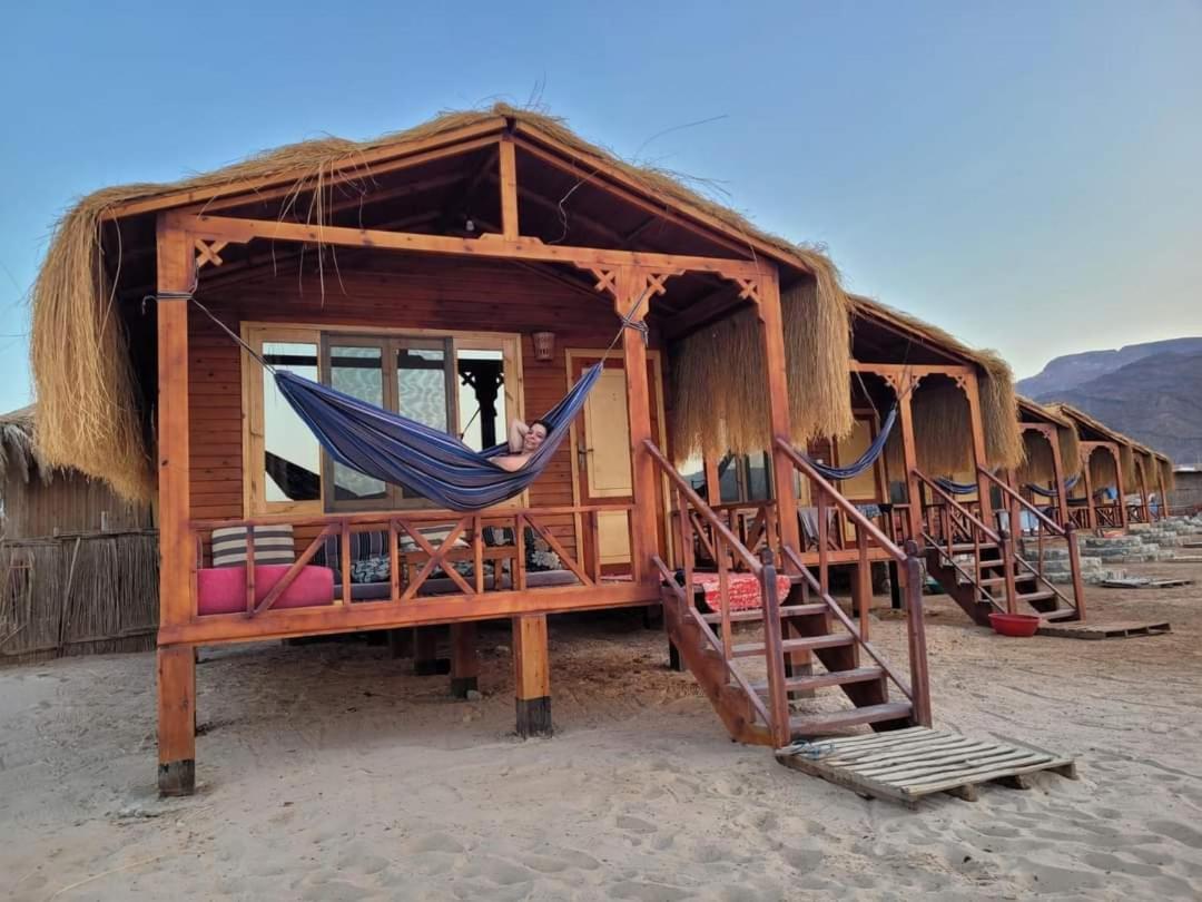 Sayal camp new