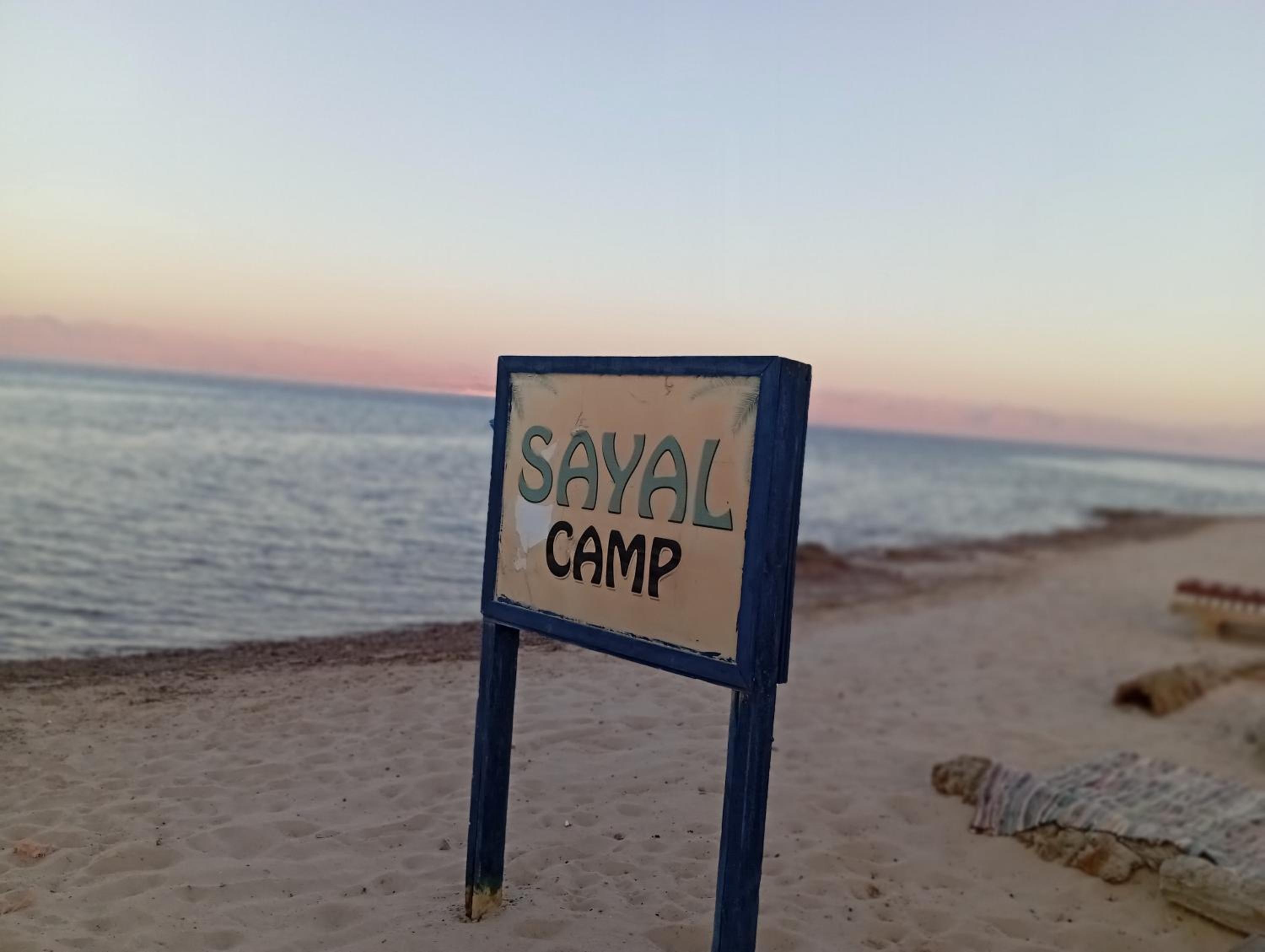 Sayal camp new