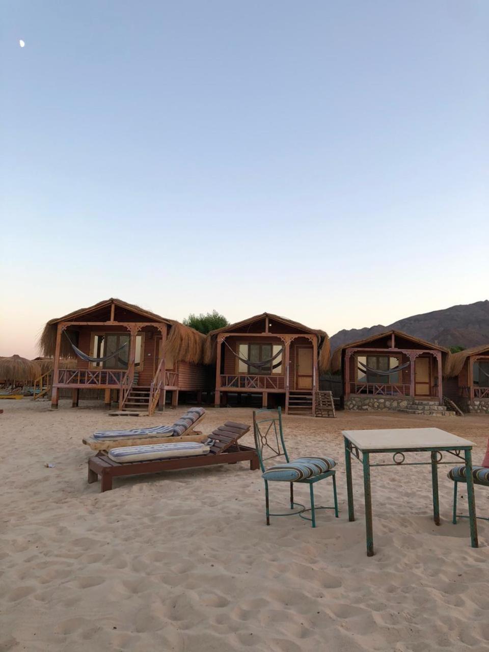 Sayal camp new