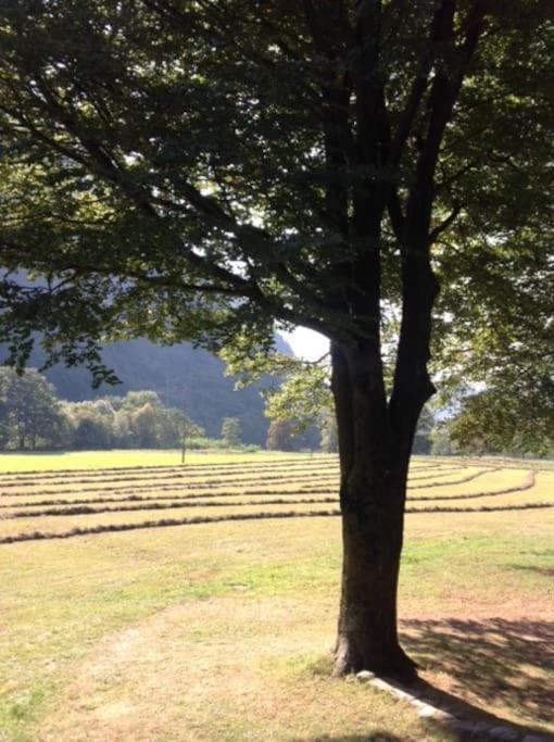 Rustico Gin Avegno Torbecc, Vallemaggia, Tessin,