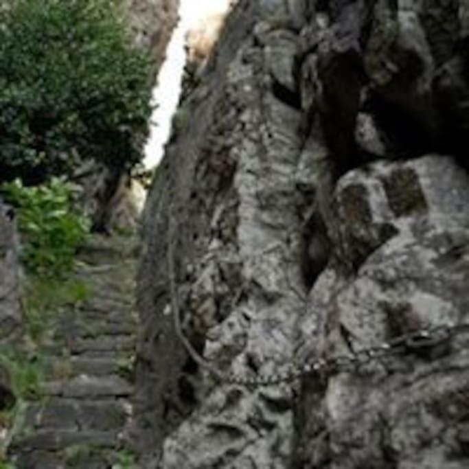 Rustico Gin Avegno Torbecc, Vallemaggia, Tessin,