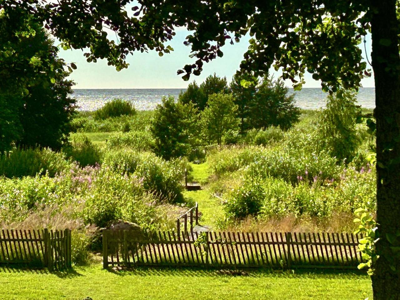 Inn Serendipity Eesti