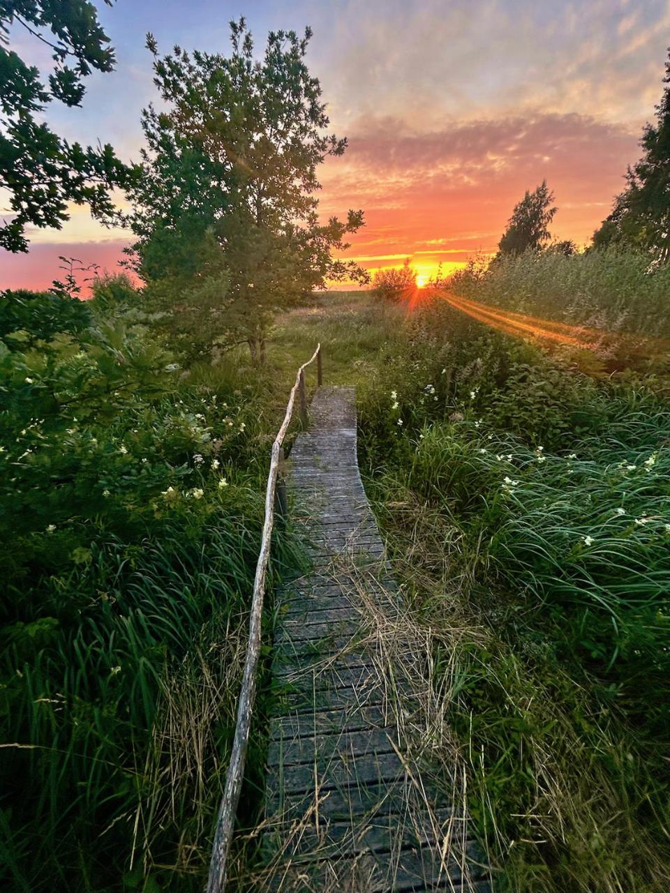 Inn Serendipity Eesti