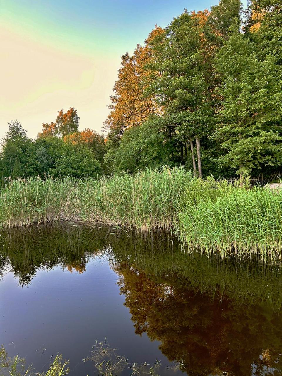Inn Serendipity Eesti
