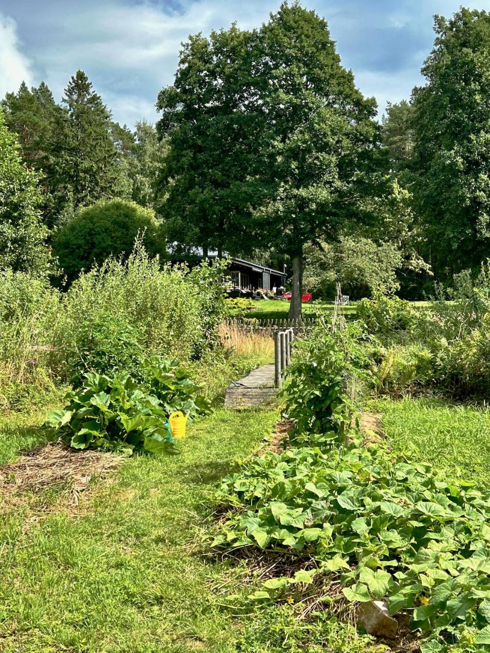 Inn Serendipity Eesti