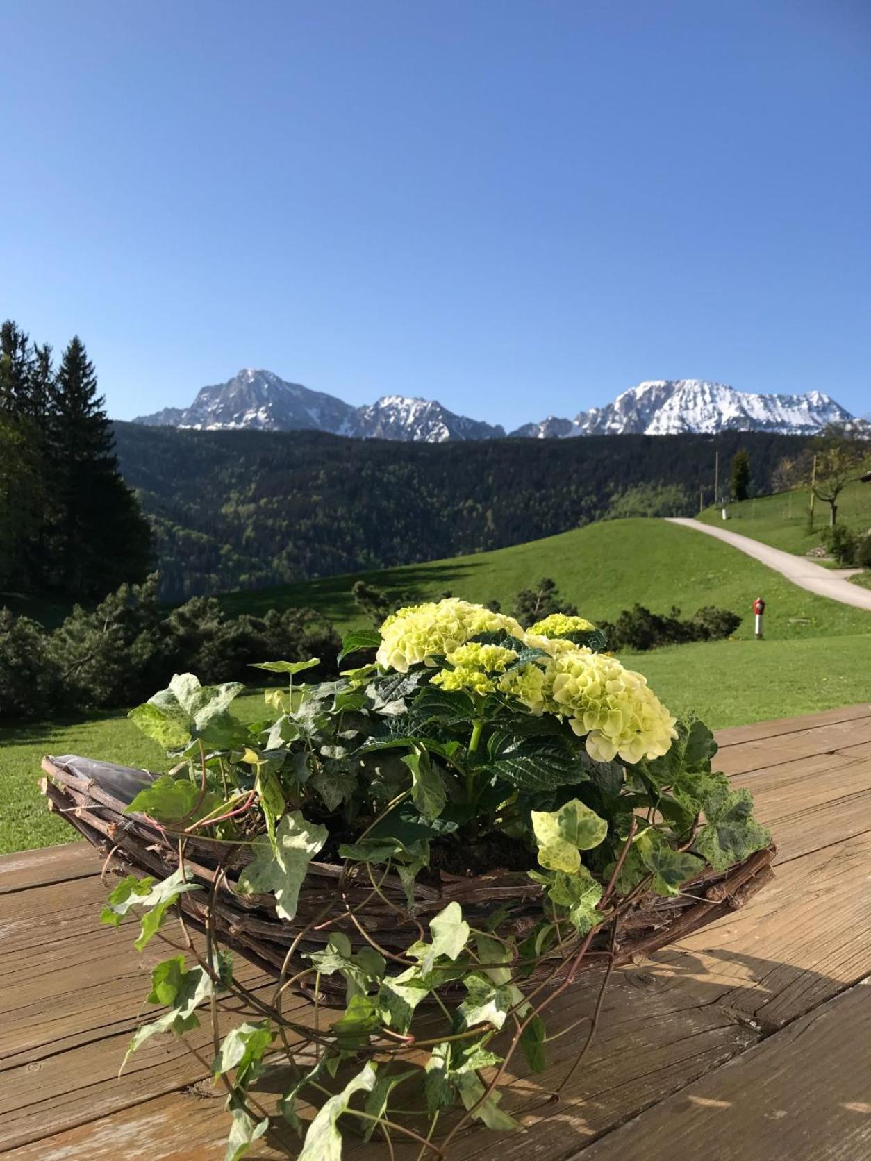 Haus Freynend