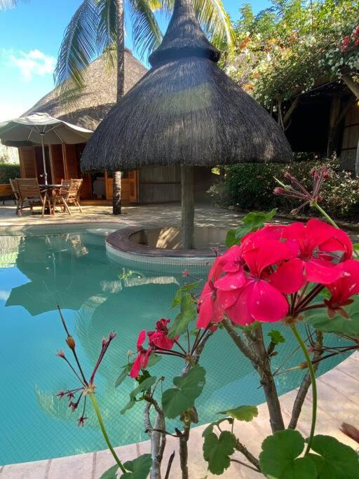 Sega Song Beach House photo 4