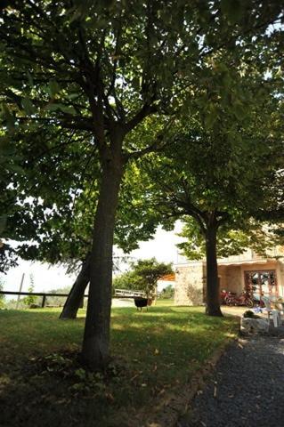 Il Casale Di Mario