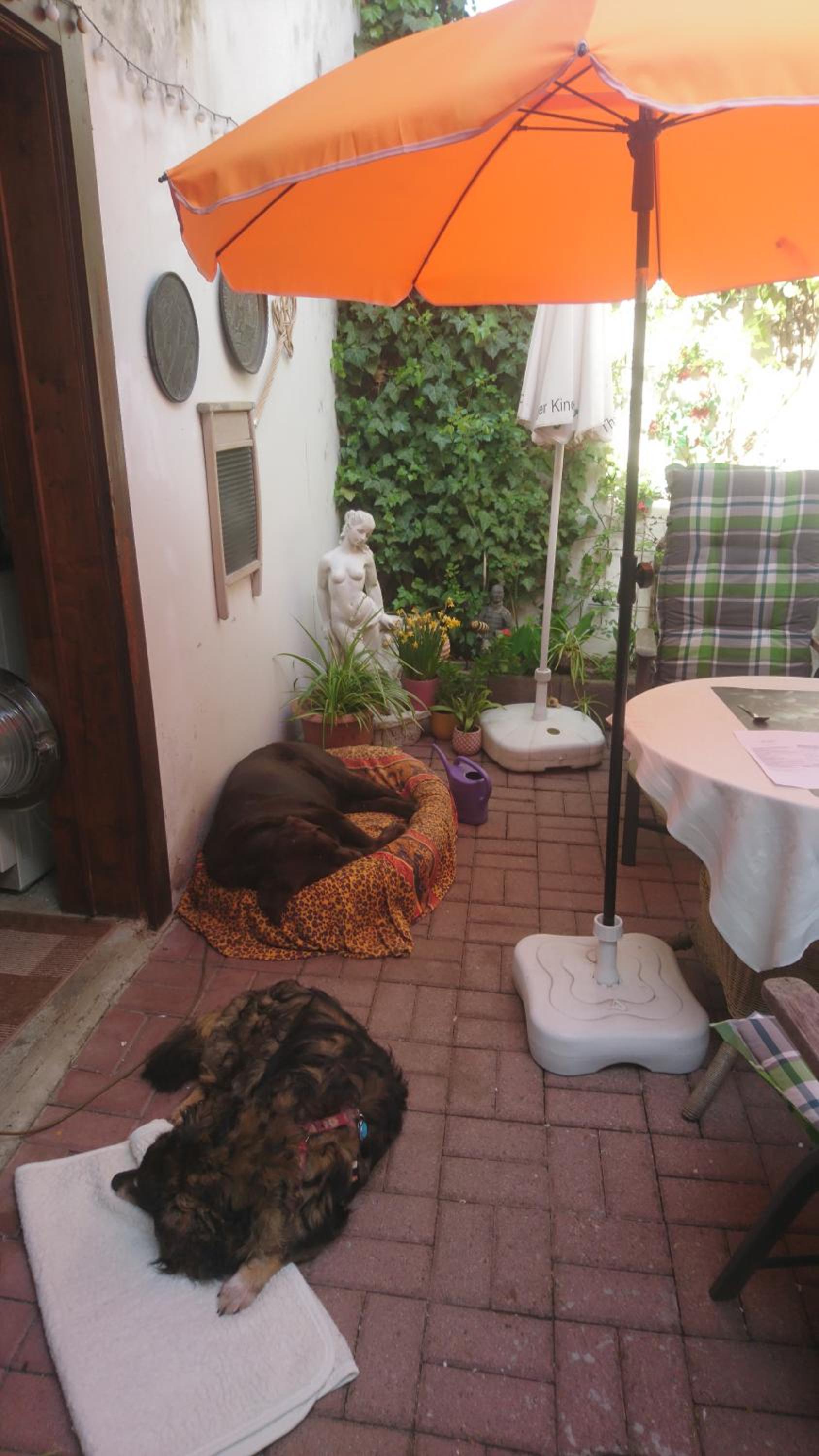 Photo 25