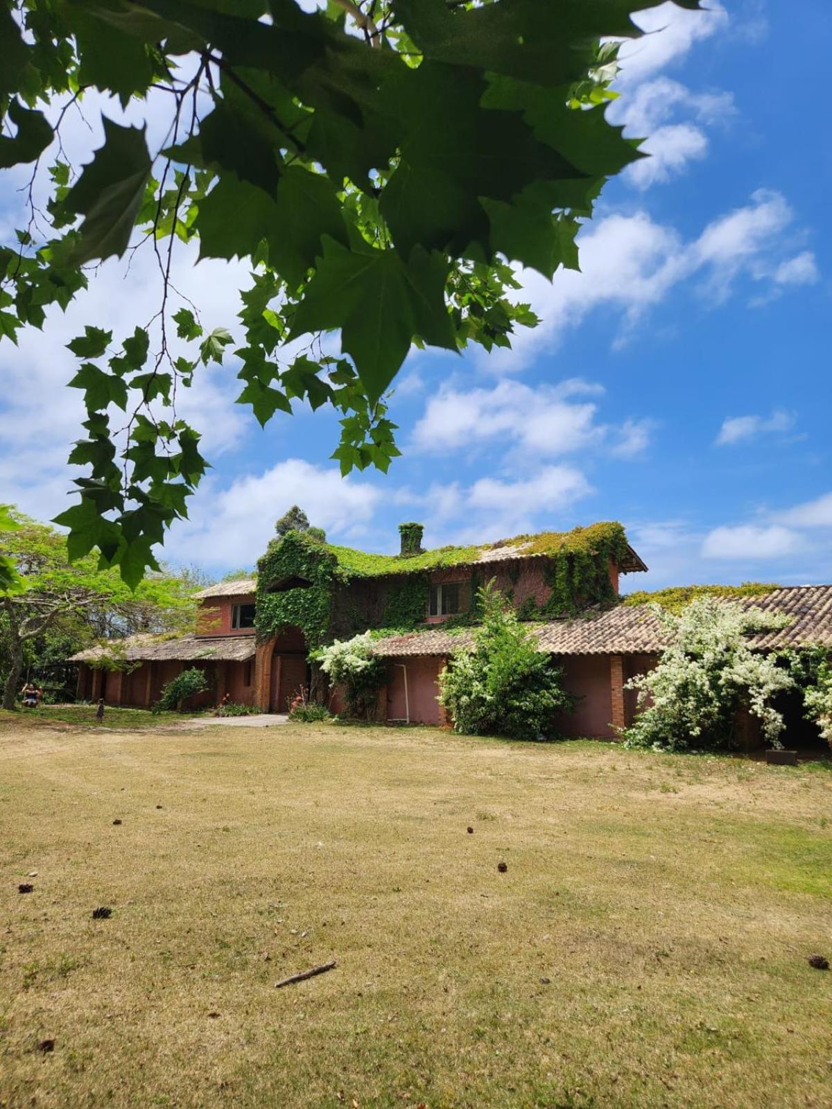 Haras San Gregório
