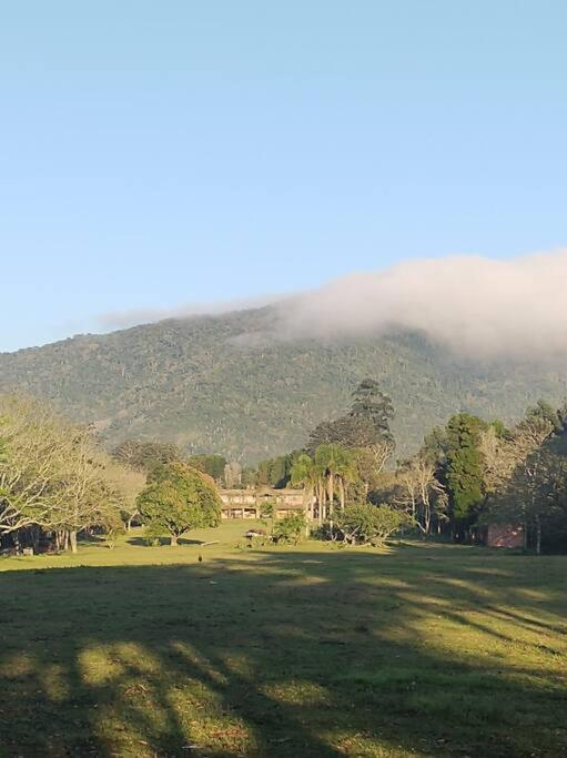 Haras San Gregório