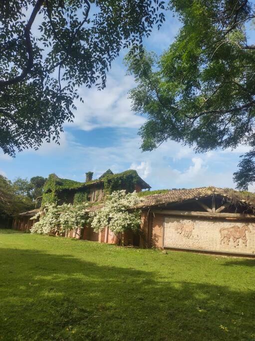 Haras San Gregório