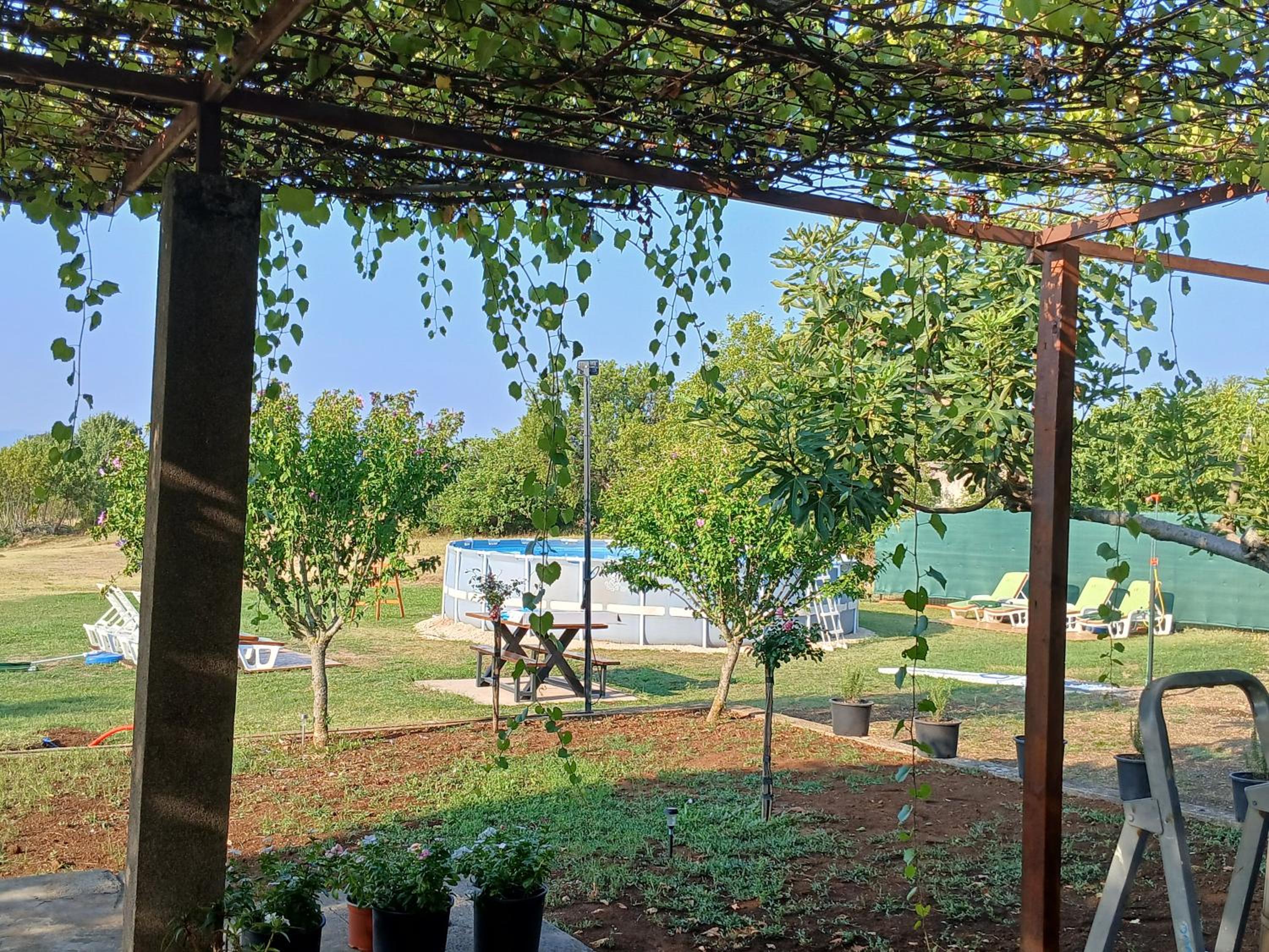 Aurea Villa