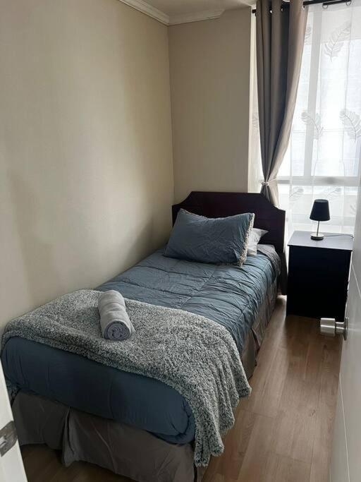 Acogedor departamento en Santiago
