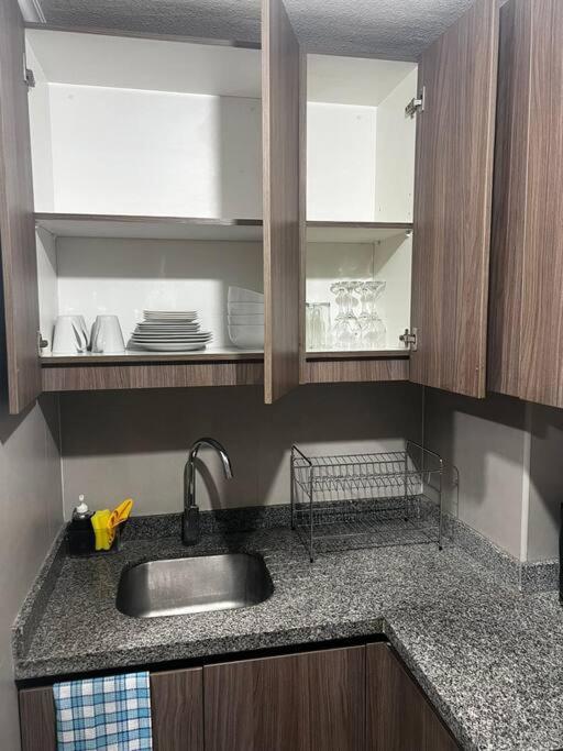 Acogedor departamento en Santiago