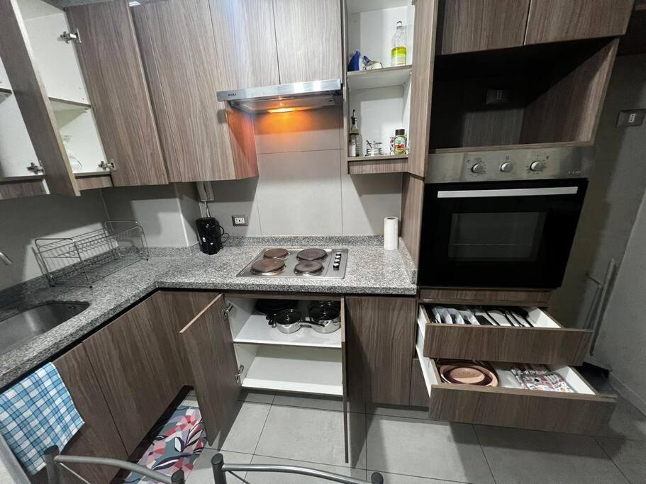 Acogedor departamento en Santiago