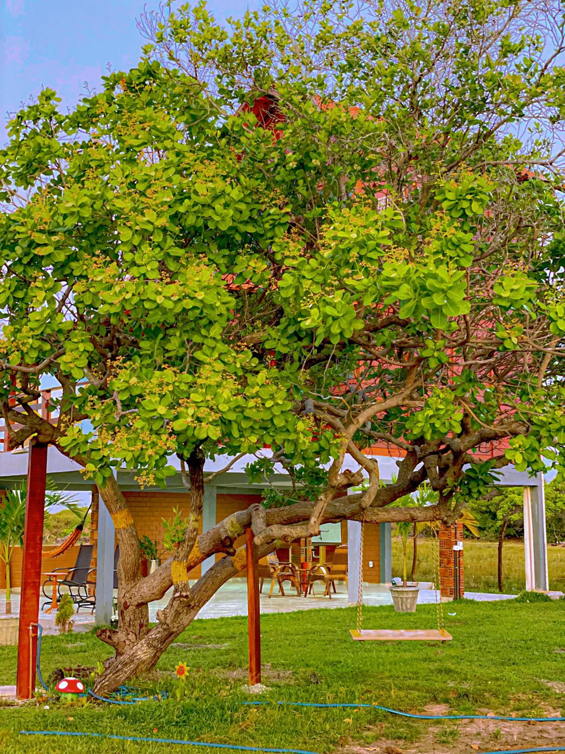 Pousada Rancho Matos