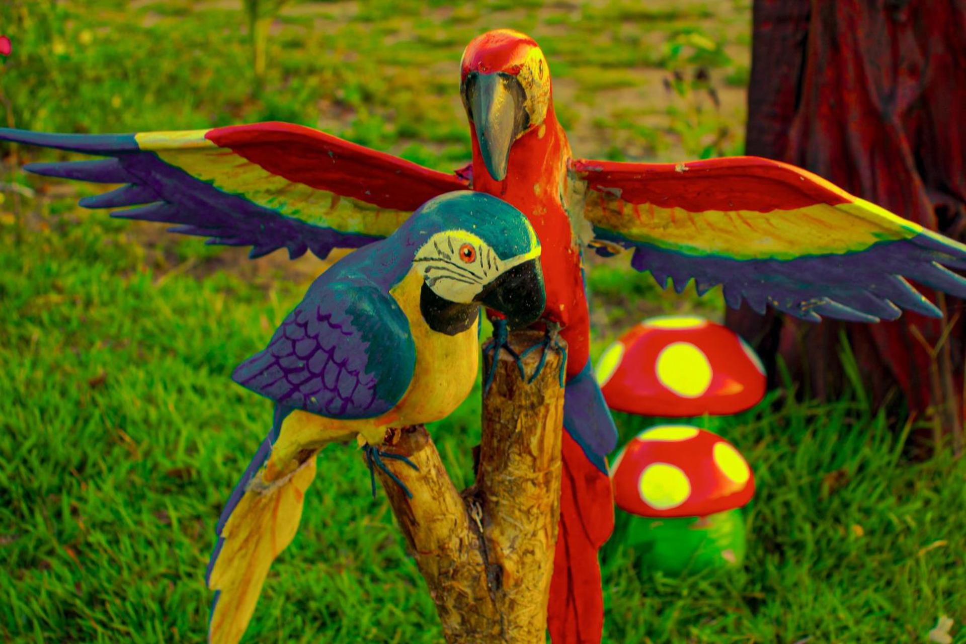 Pousada Rancho Matos