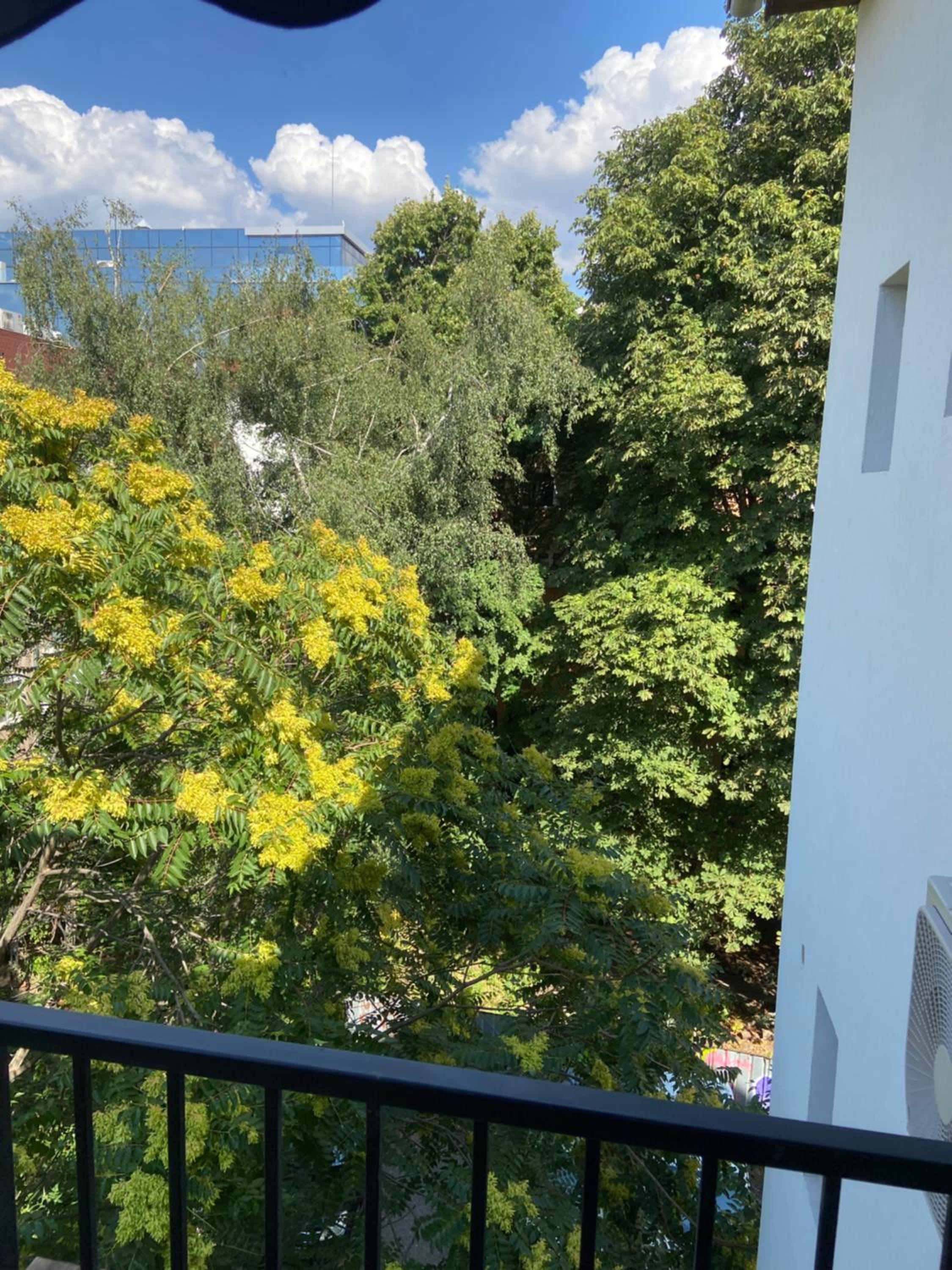 Edelweiss Sofia
