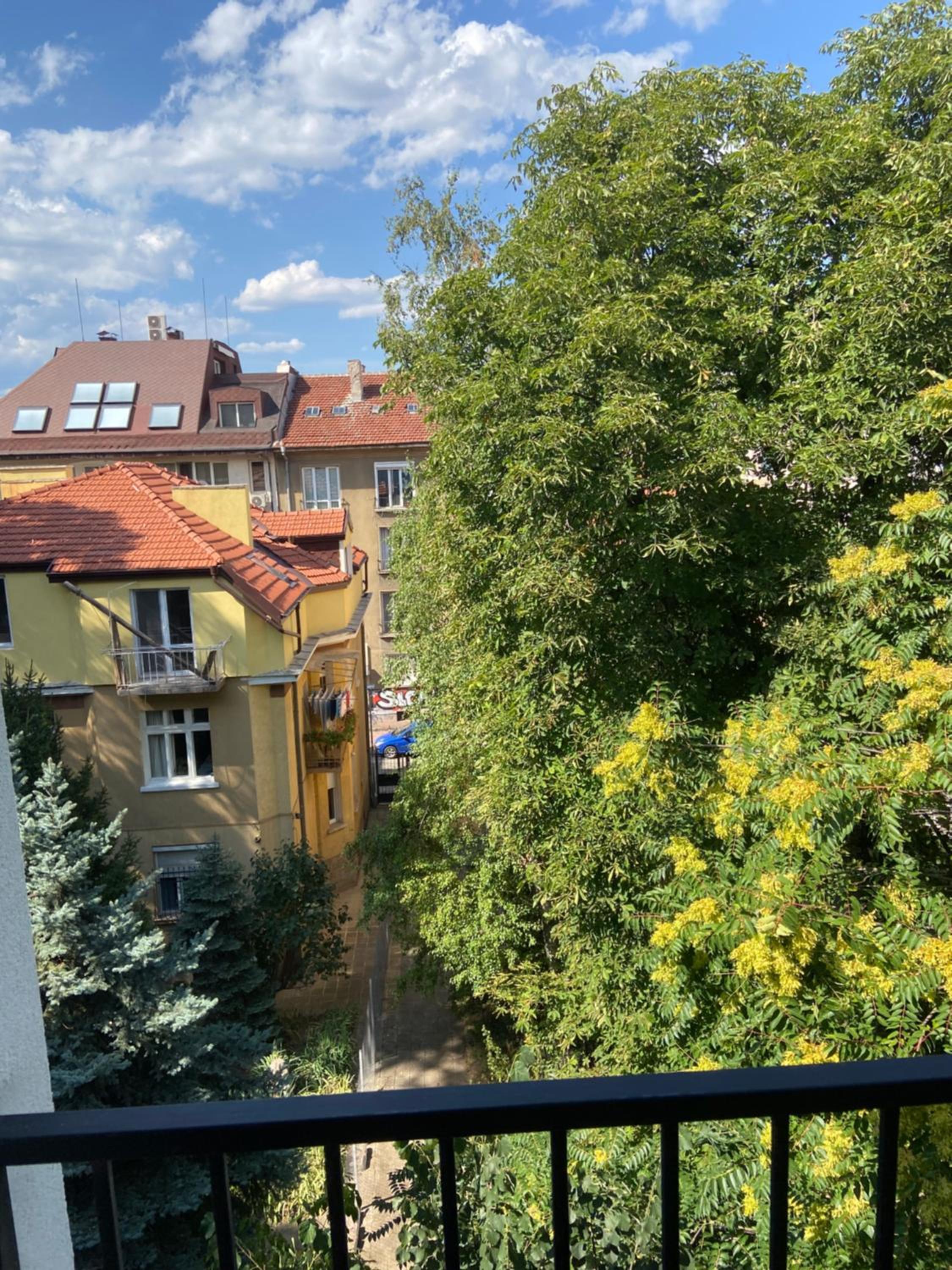 Edelweiss Sofia