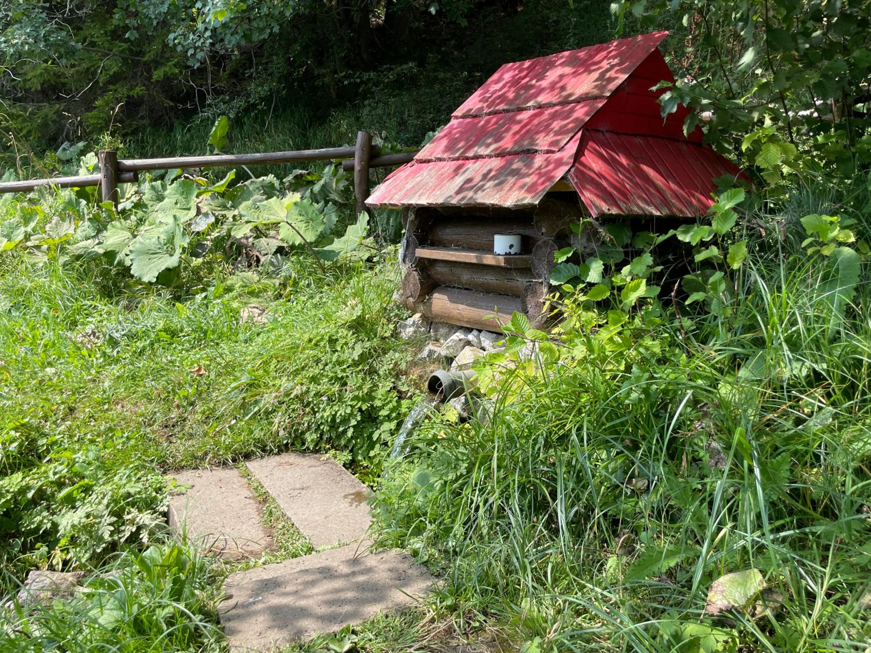 Photo 8