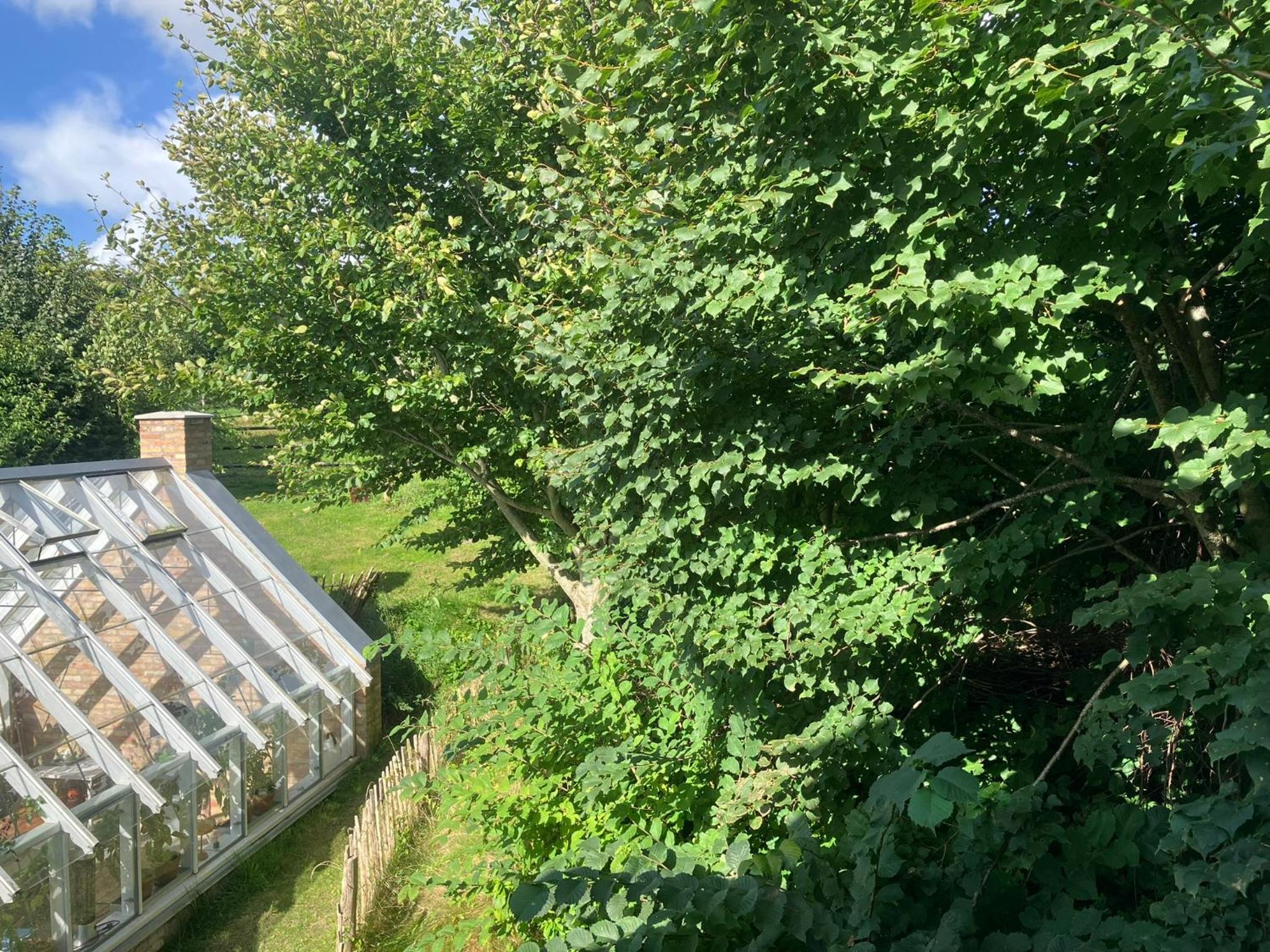 Krogsgaarden B&B