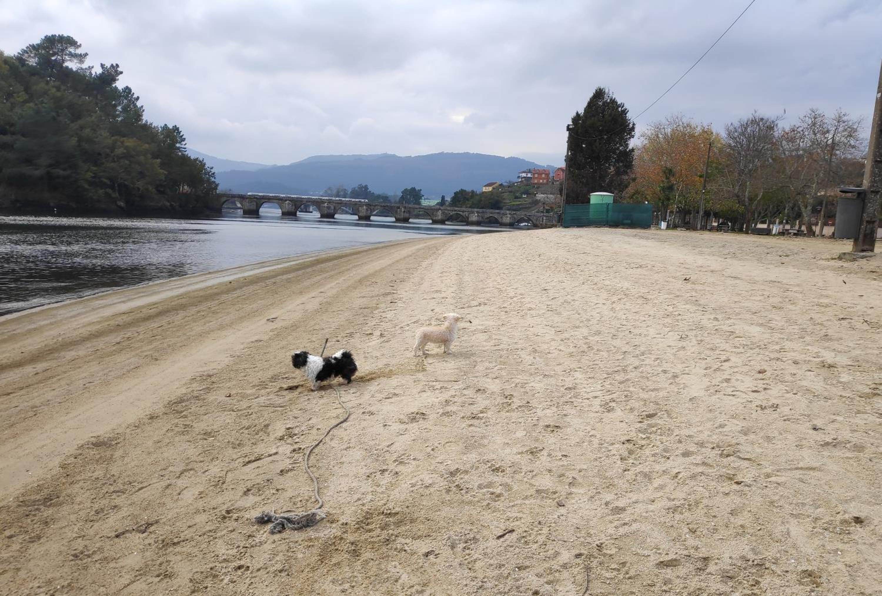 CASA DOS PEIXIÑOS Pontesampaio photo 4