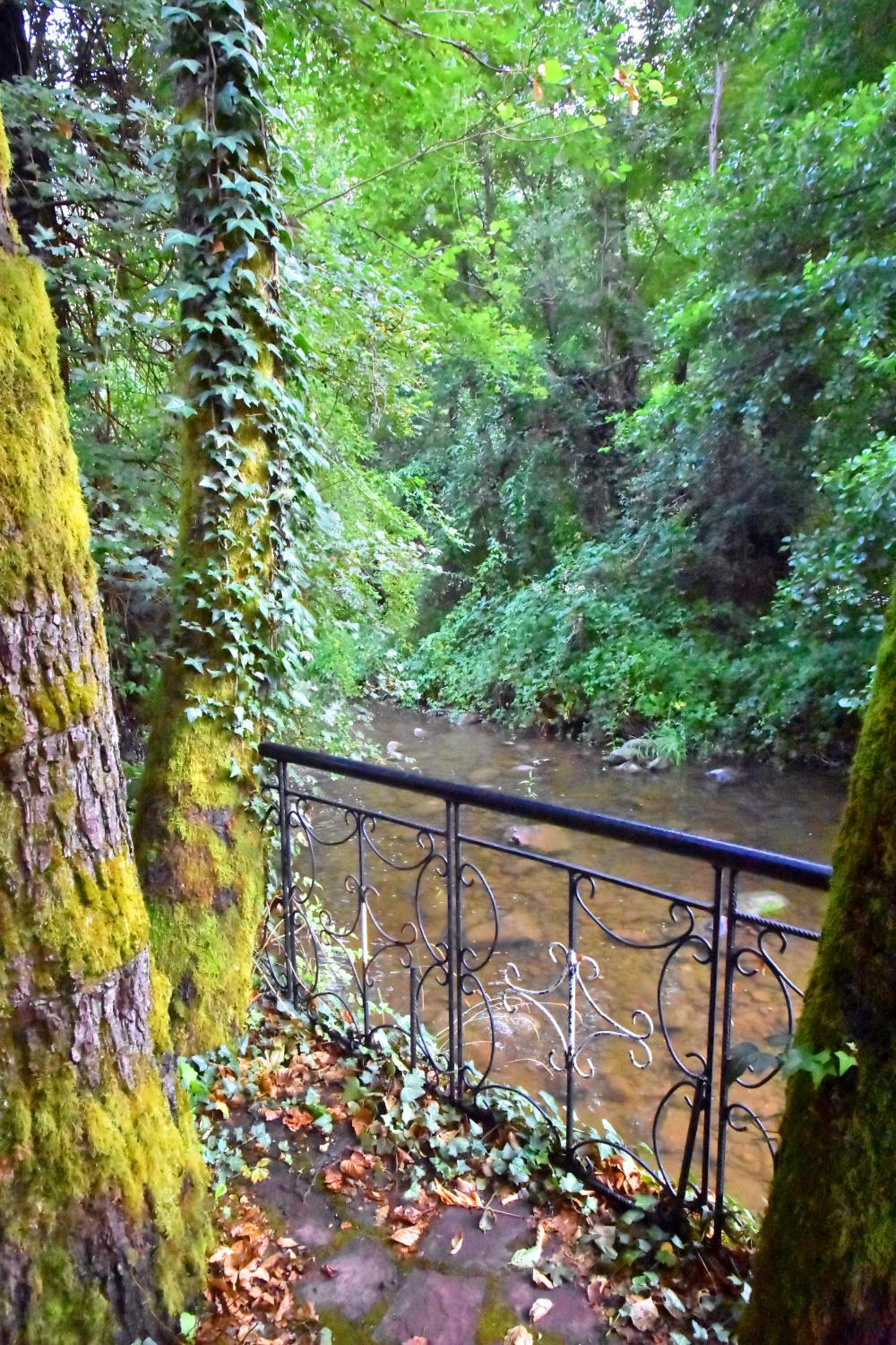 House By The River