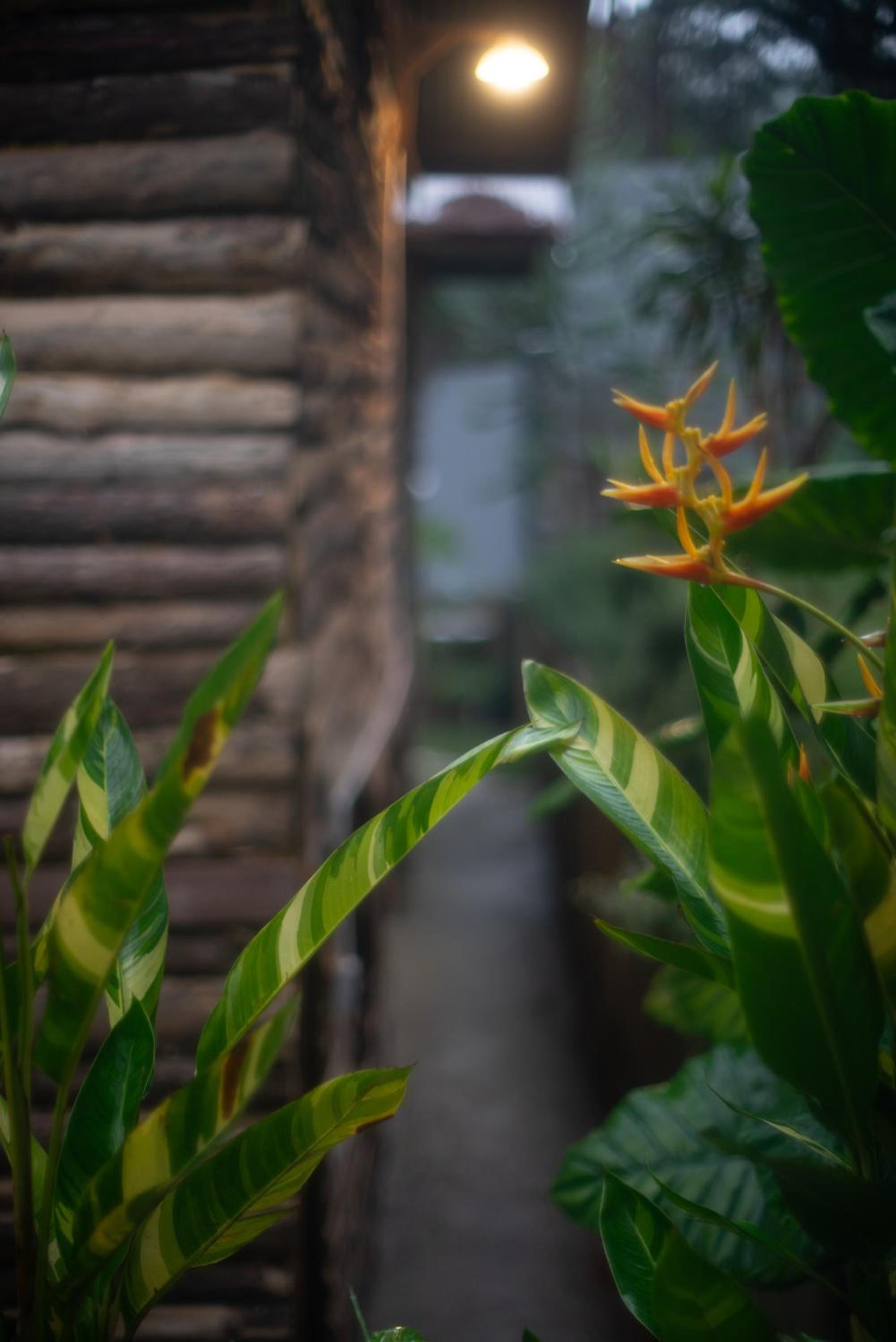 Eldersleep Dalat