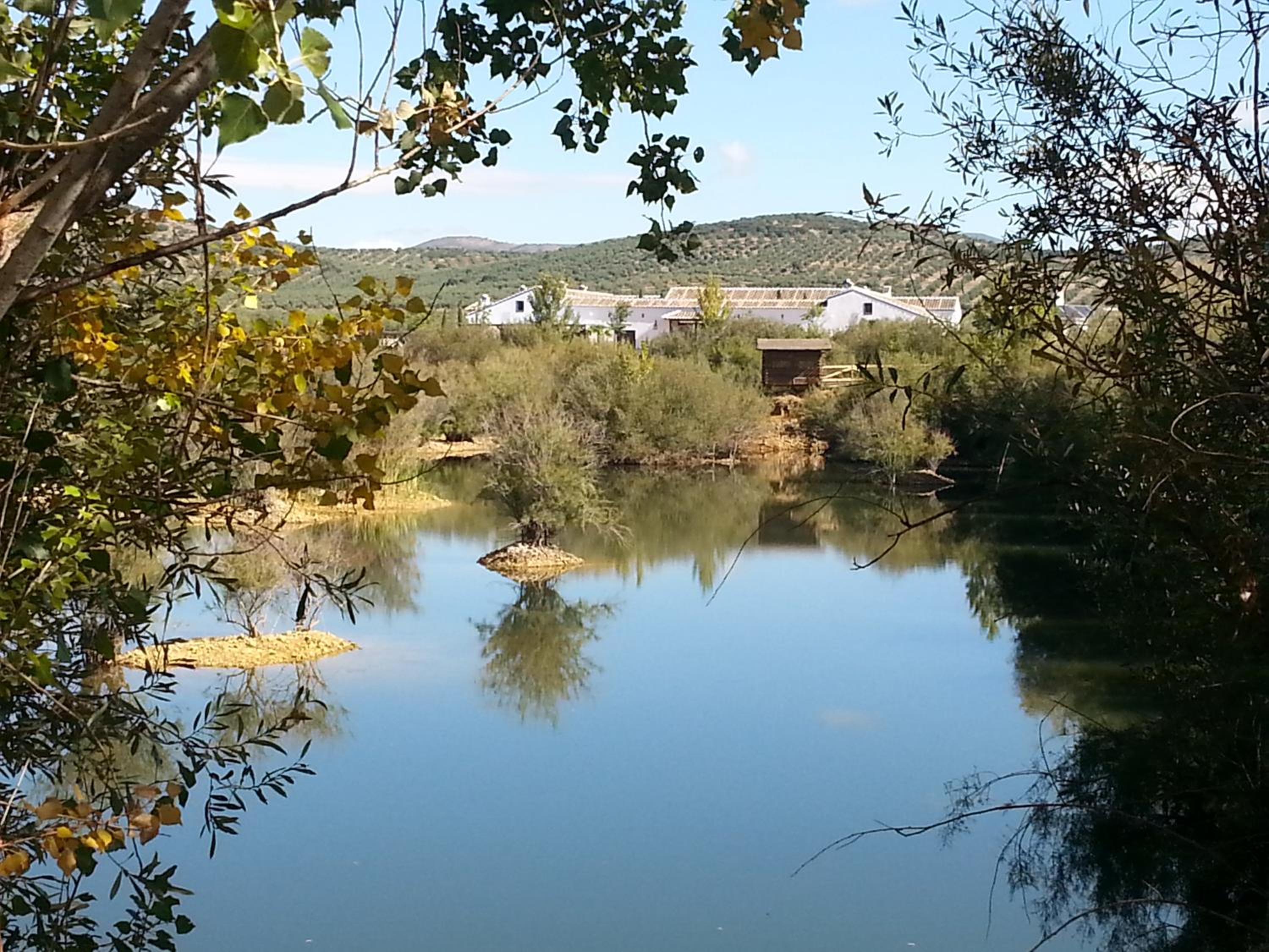Complejo Turístico Rural Fuente Taray
