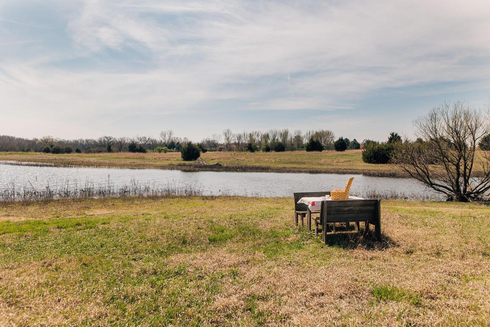 Meadowlark Creek-fishing, Pool, Nature