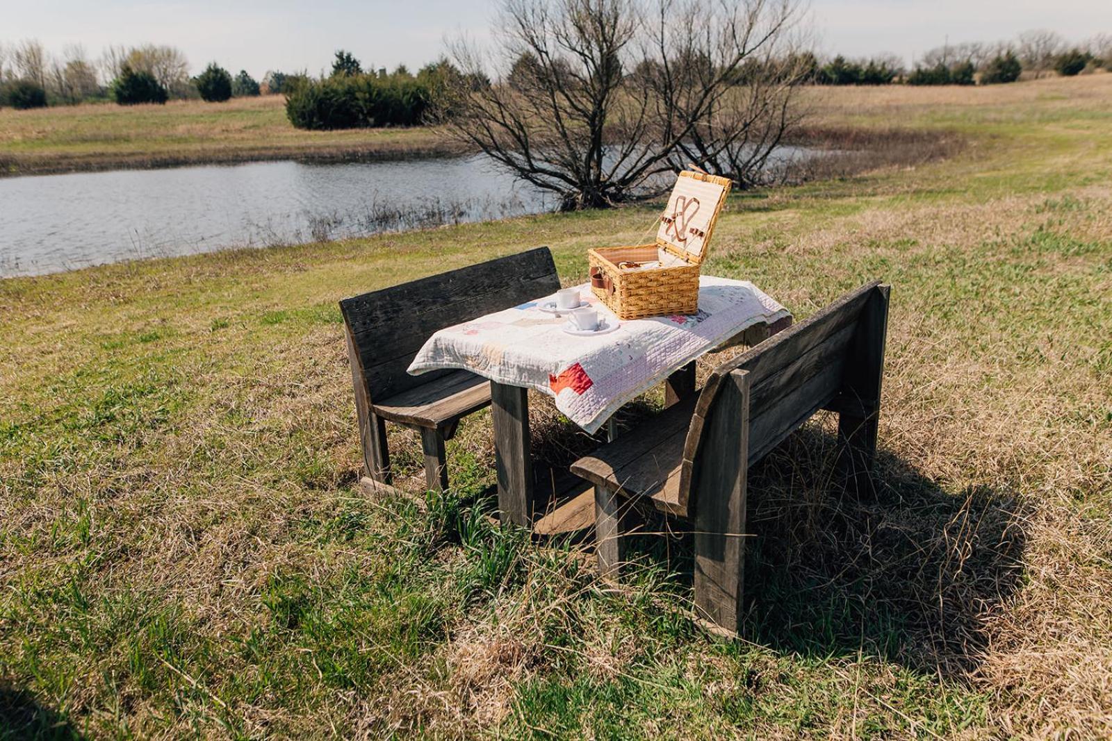 Meadowlark Creek-fishing, Pool, Nature