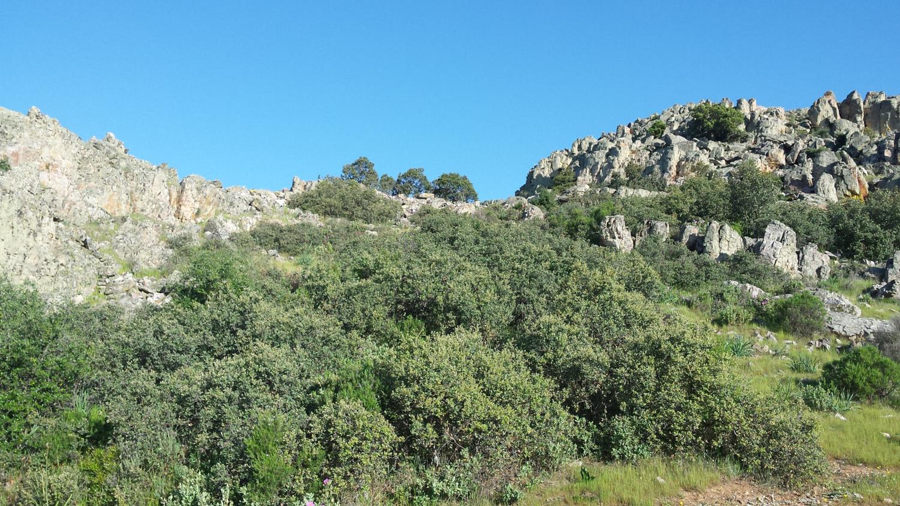 Complejo Turístico Rural Fuente Taray