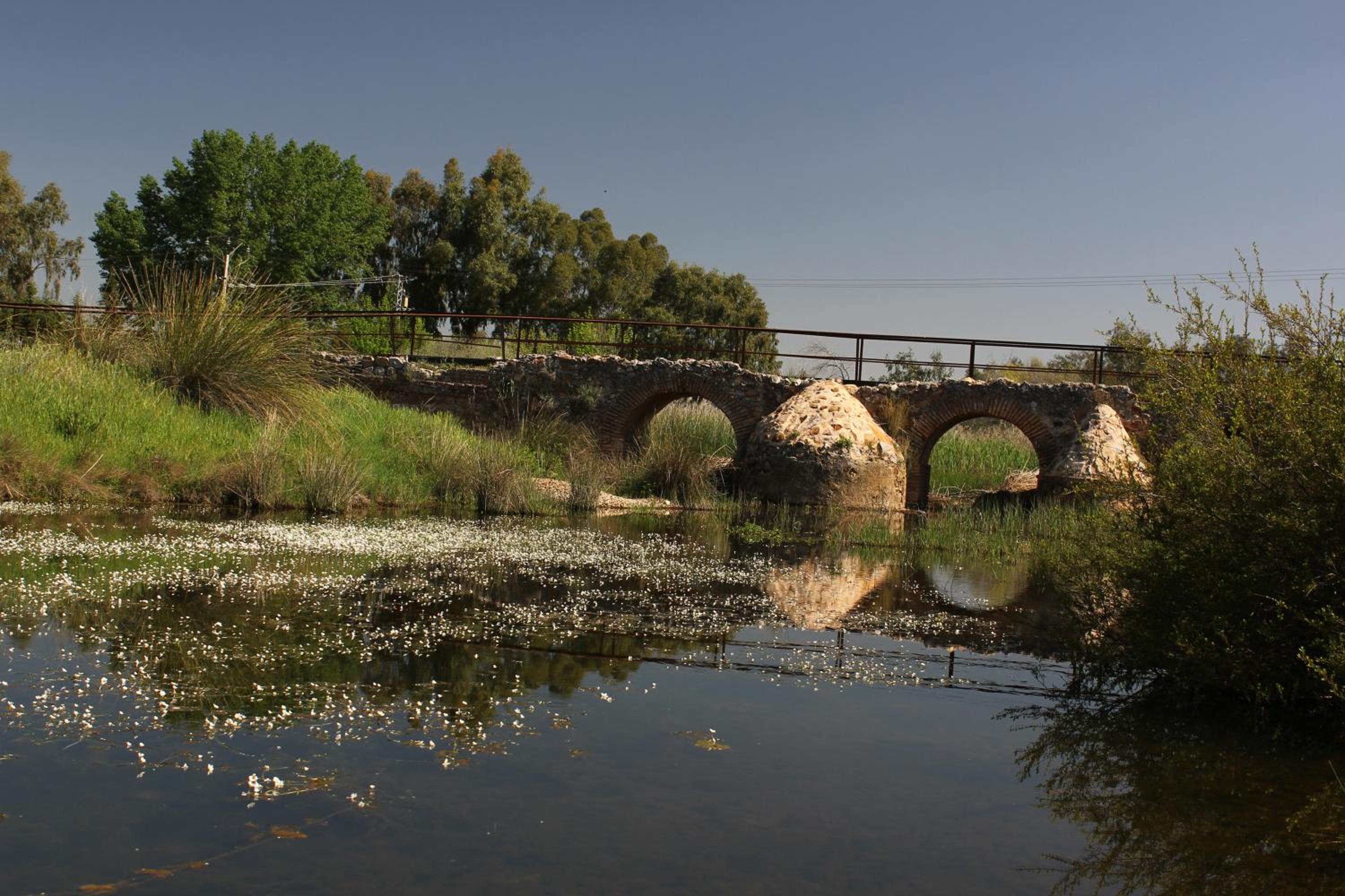 Complejo Turístico Rural Fuente Taray